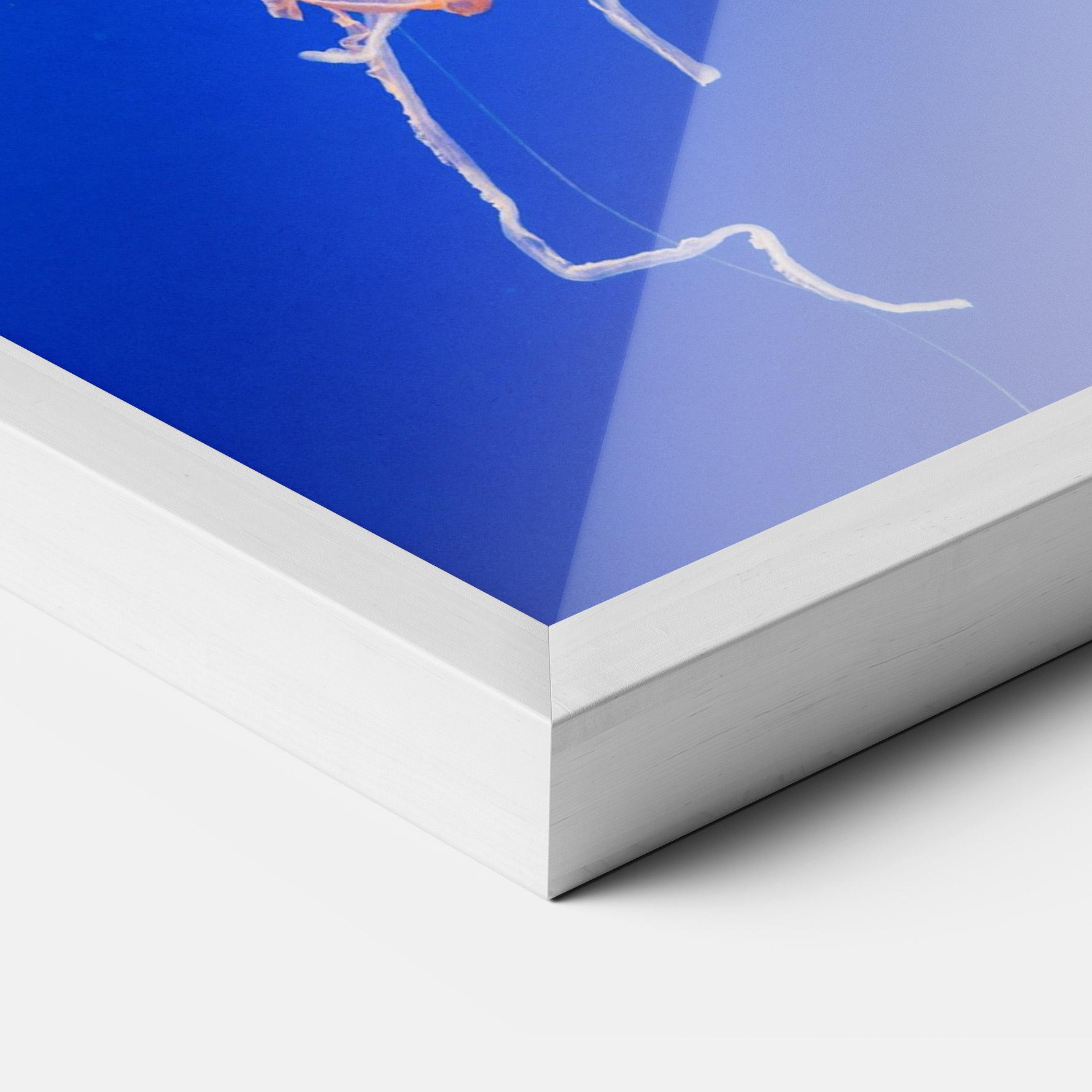 Gerahmte Poster Pretty White Jellyfish mockup 3