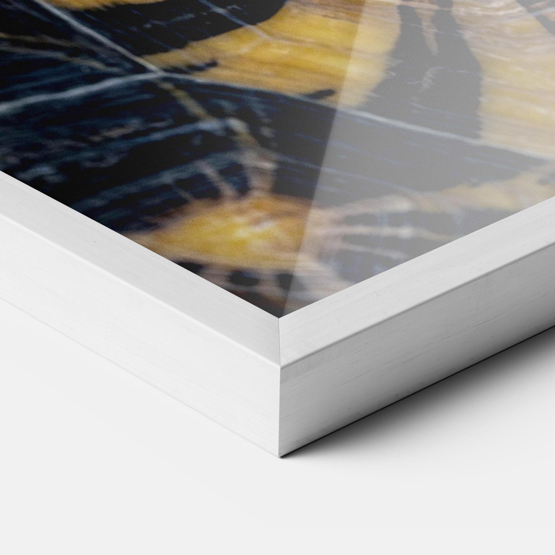 Gerahmte Poster Turtle Shell mockup 3