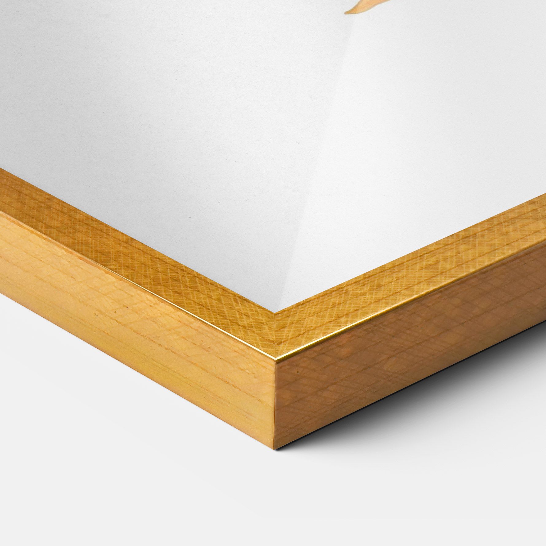 Beautiful Koi mockup 3