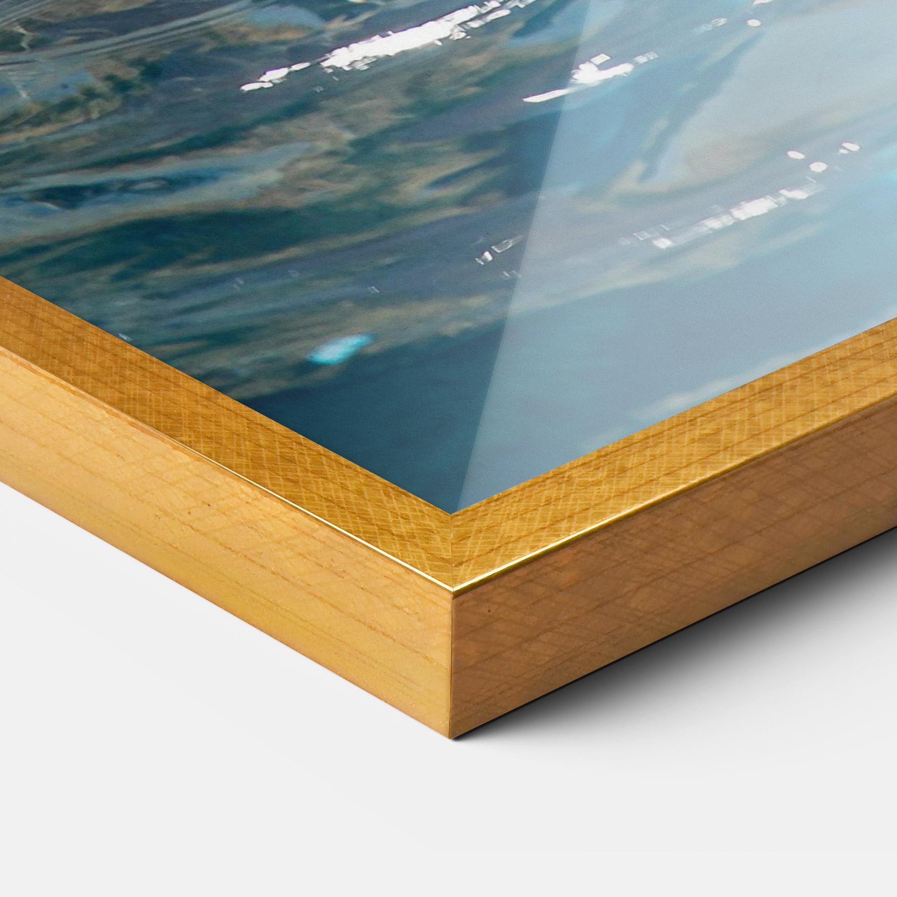 Gerahmte Poster Trained Dolphin mockup 3