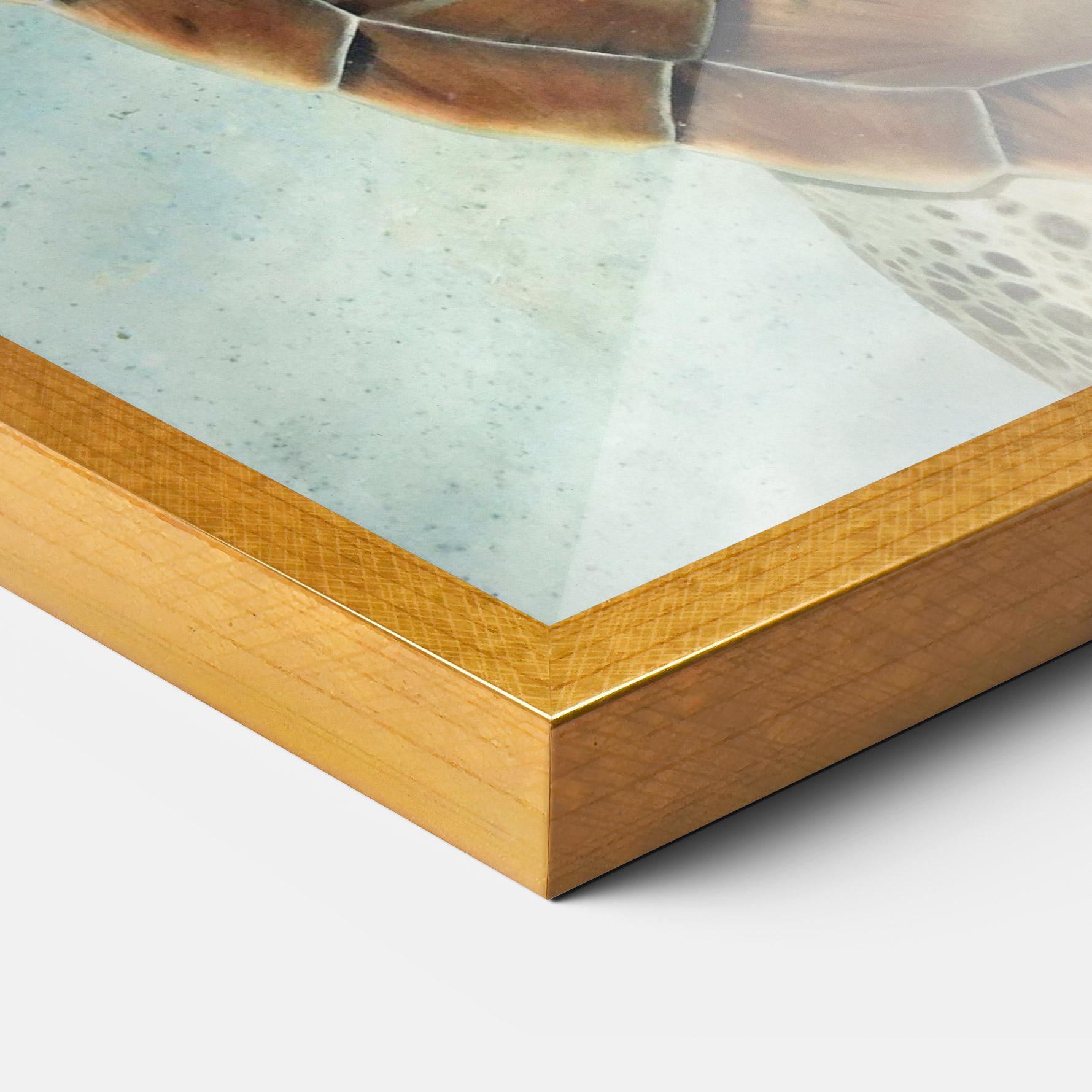 Gerahmte Poster Water Tortoise mockup 3