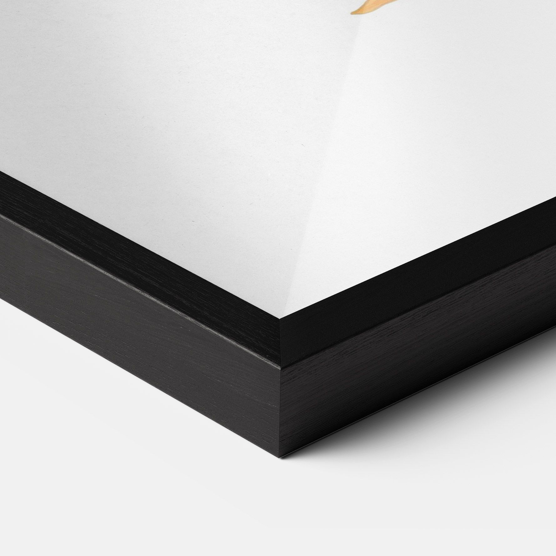 Beautiful Koi mockup 3