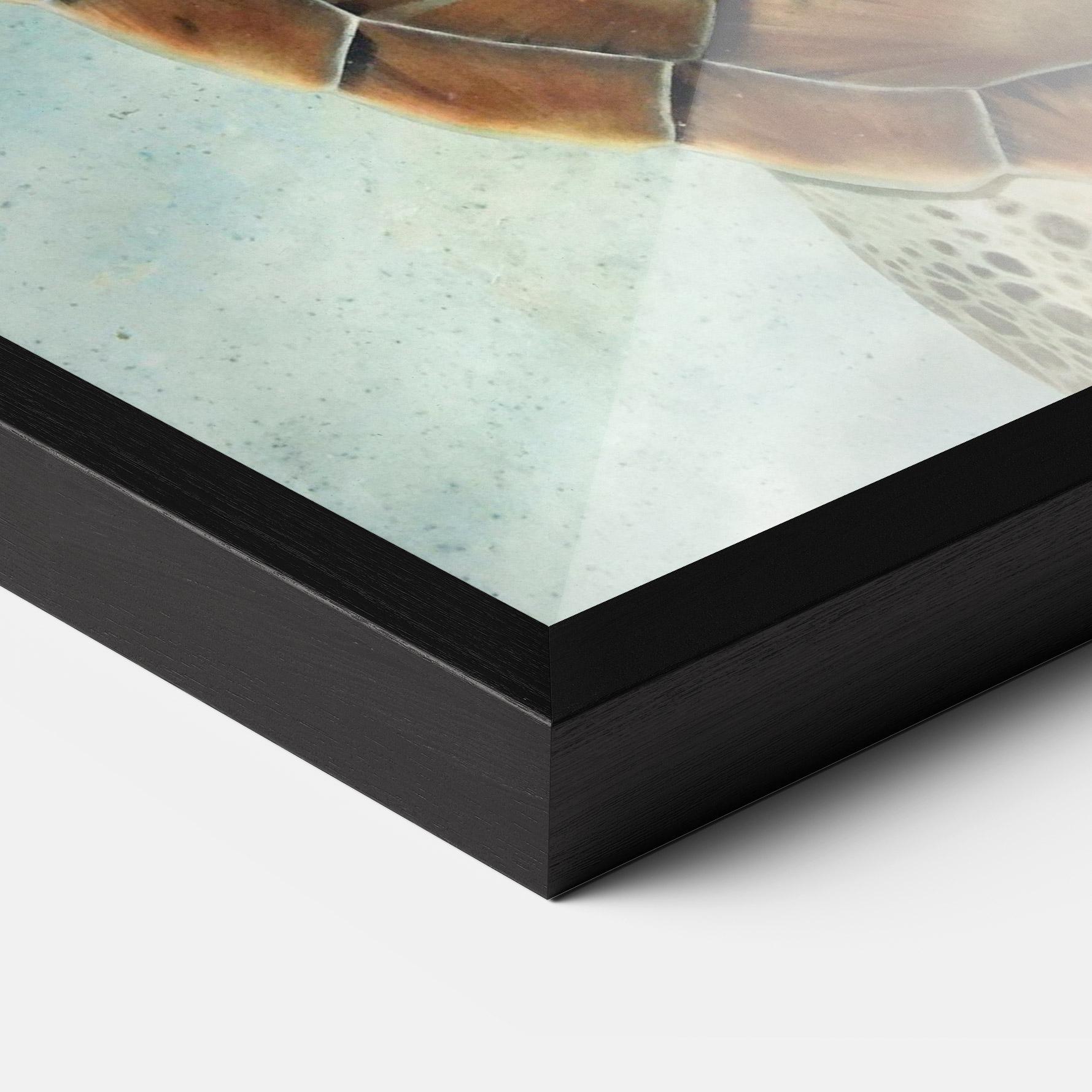 Gerahmte Poster Water Tortoise mockup 3