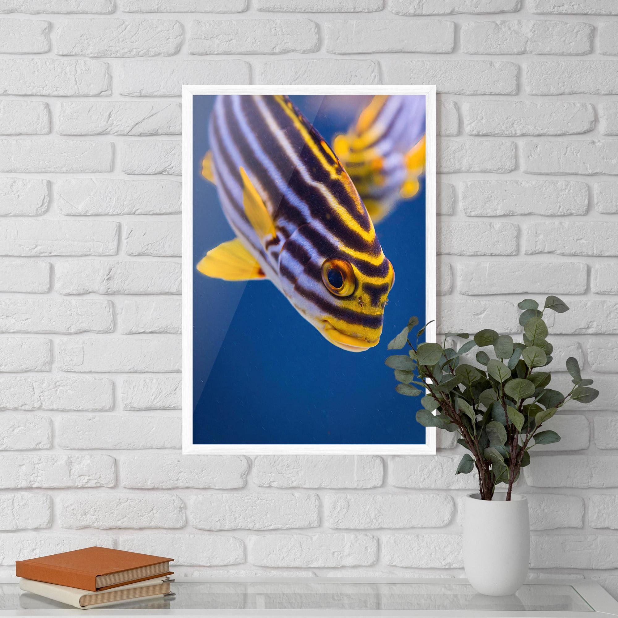 Gerahmte Poster Purple Yellow Fish mockup 5
