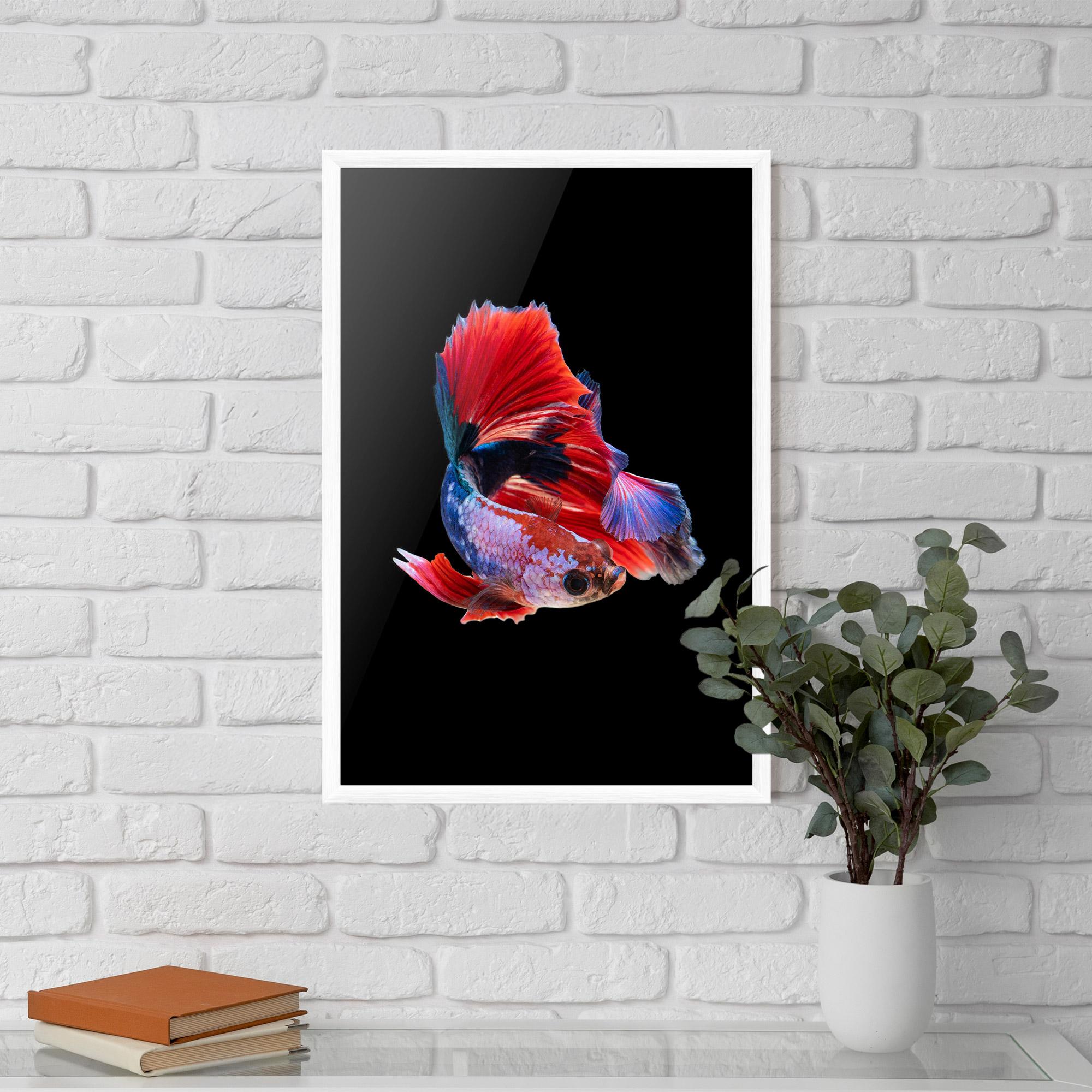 Gerahmte Poster Red Black Betta mockup 5