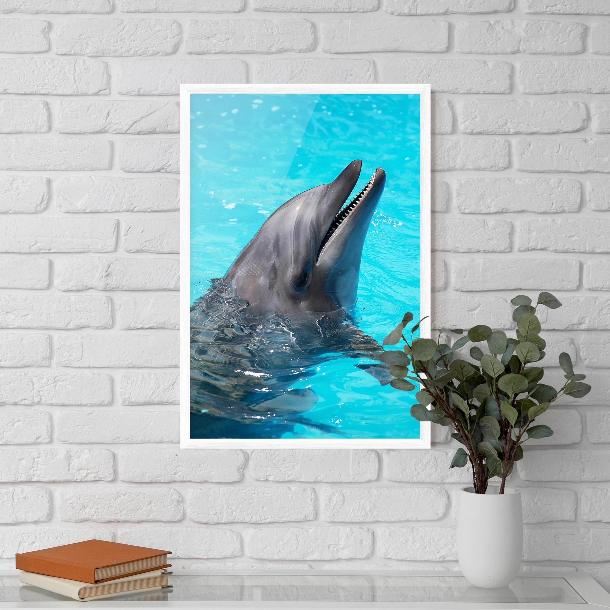 Gerahmte Poster Trained Dolphin mockup 5