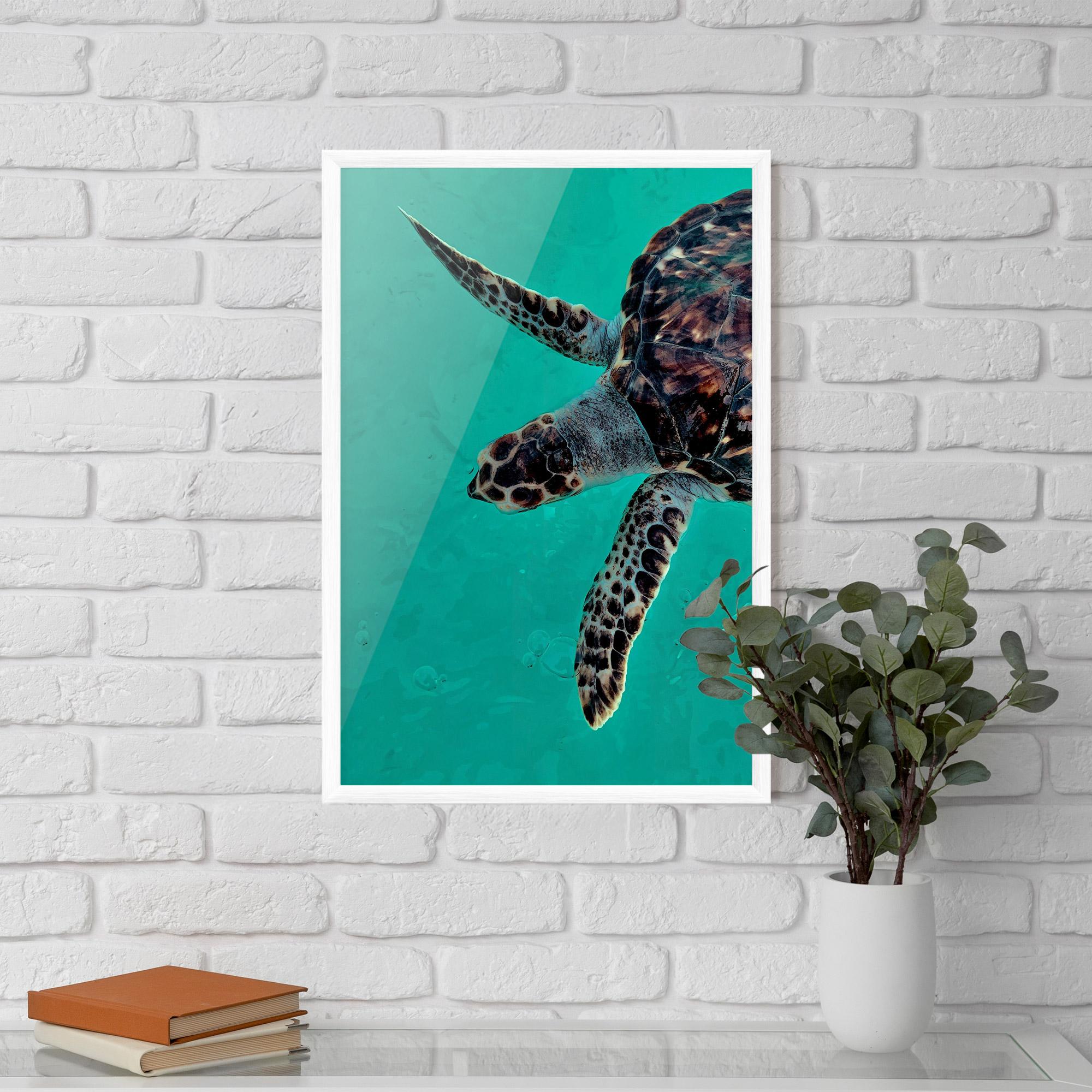 Gerahmte Poster Turtle Sweeming mockup 5