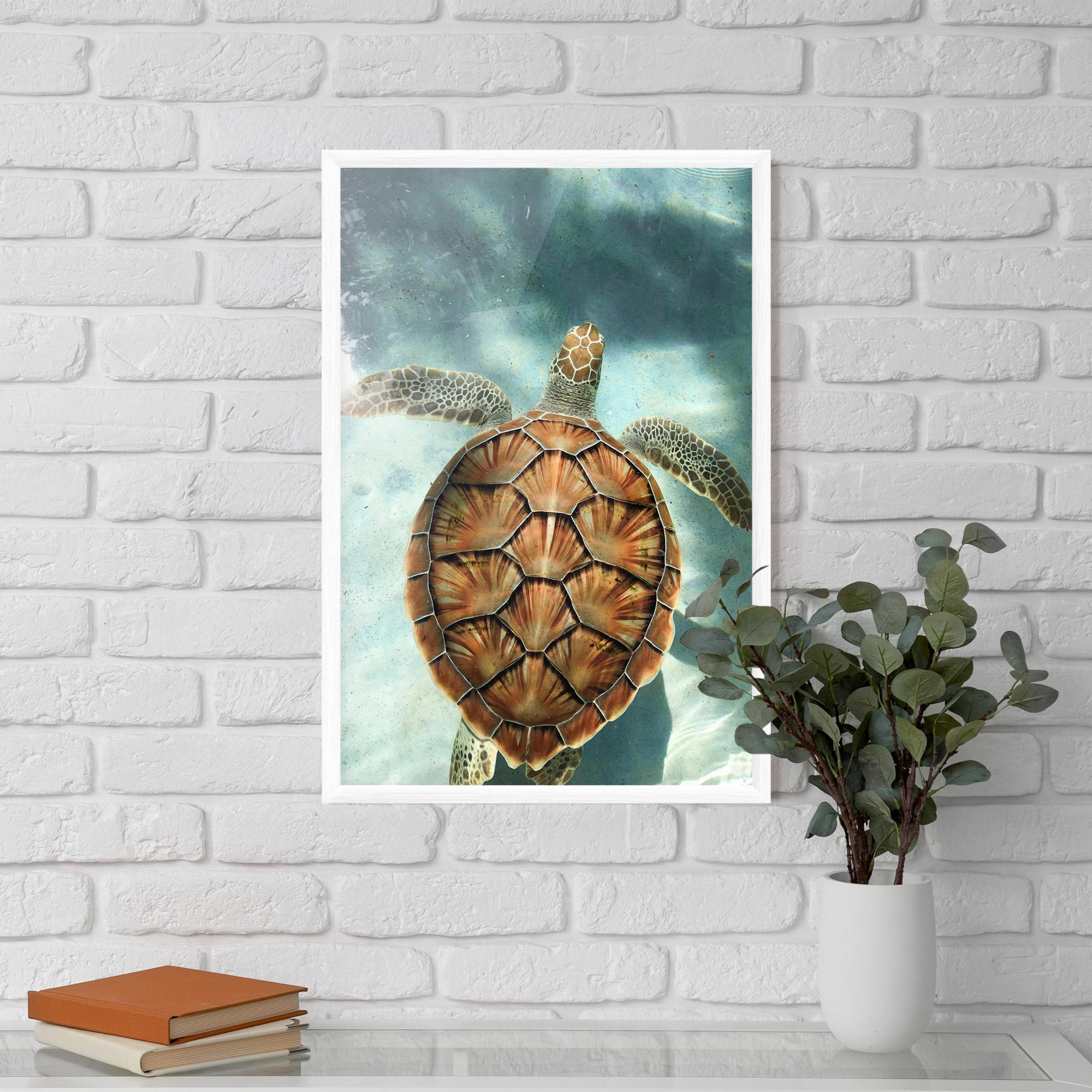 Gerahmte Poster Water Tortoise mockup 5
