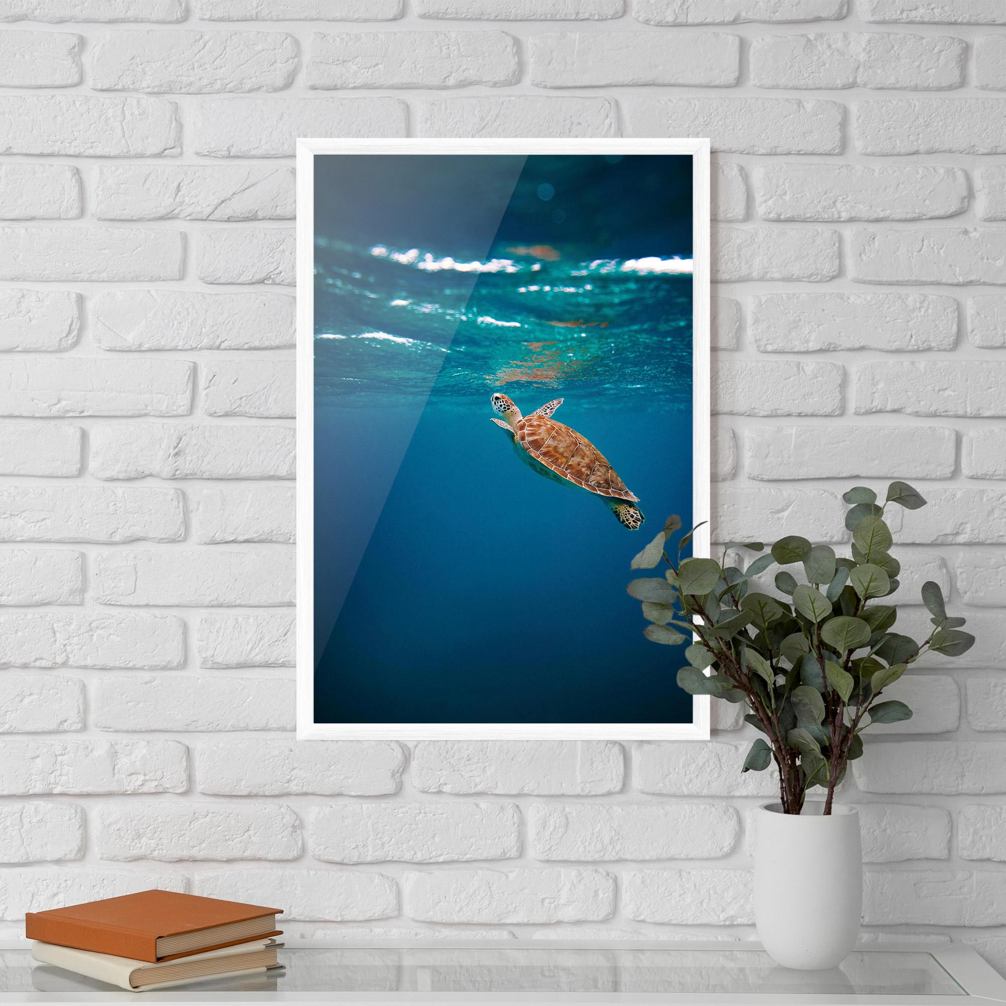 Gerahmte Poster Water Turtle mockup 5