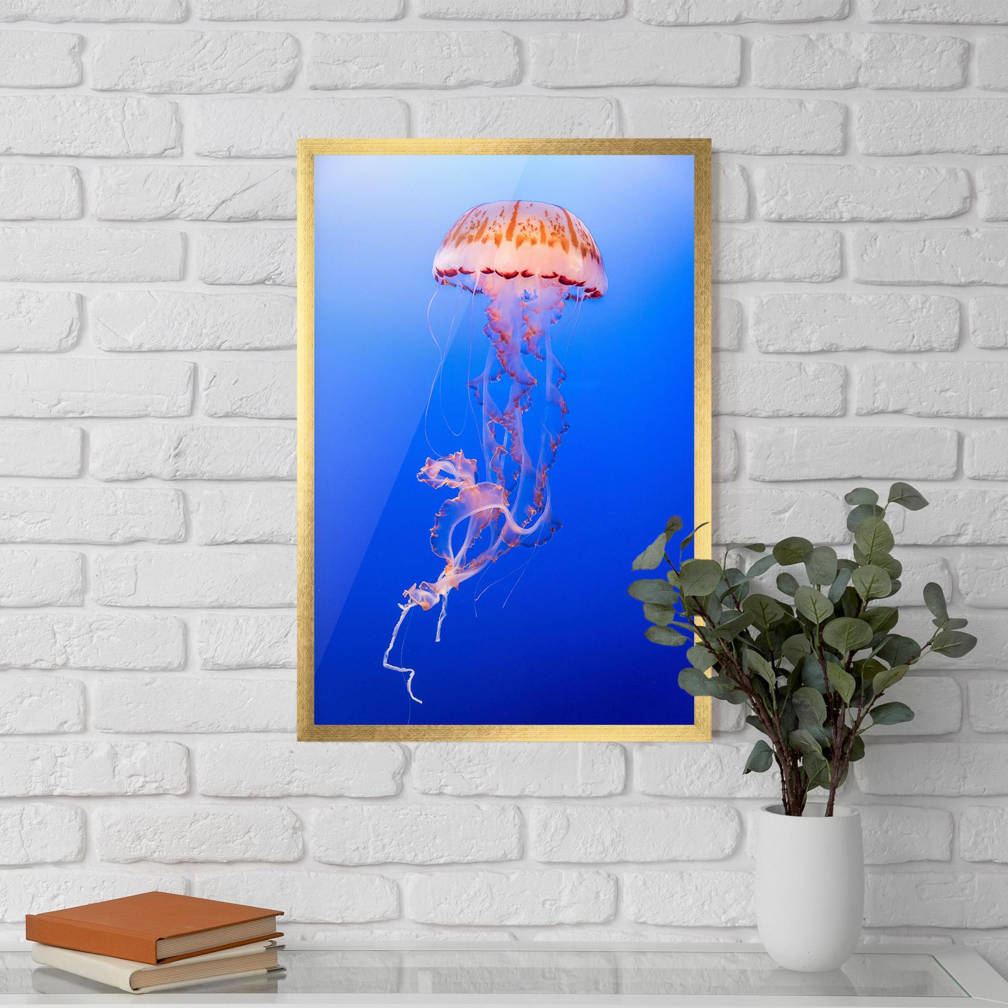 Gerahmte Poster Pretty White Jellyfish mockup 5