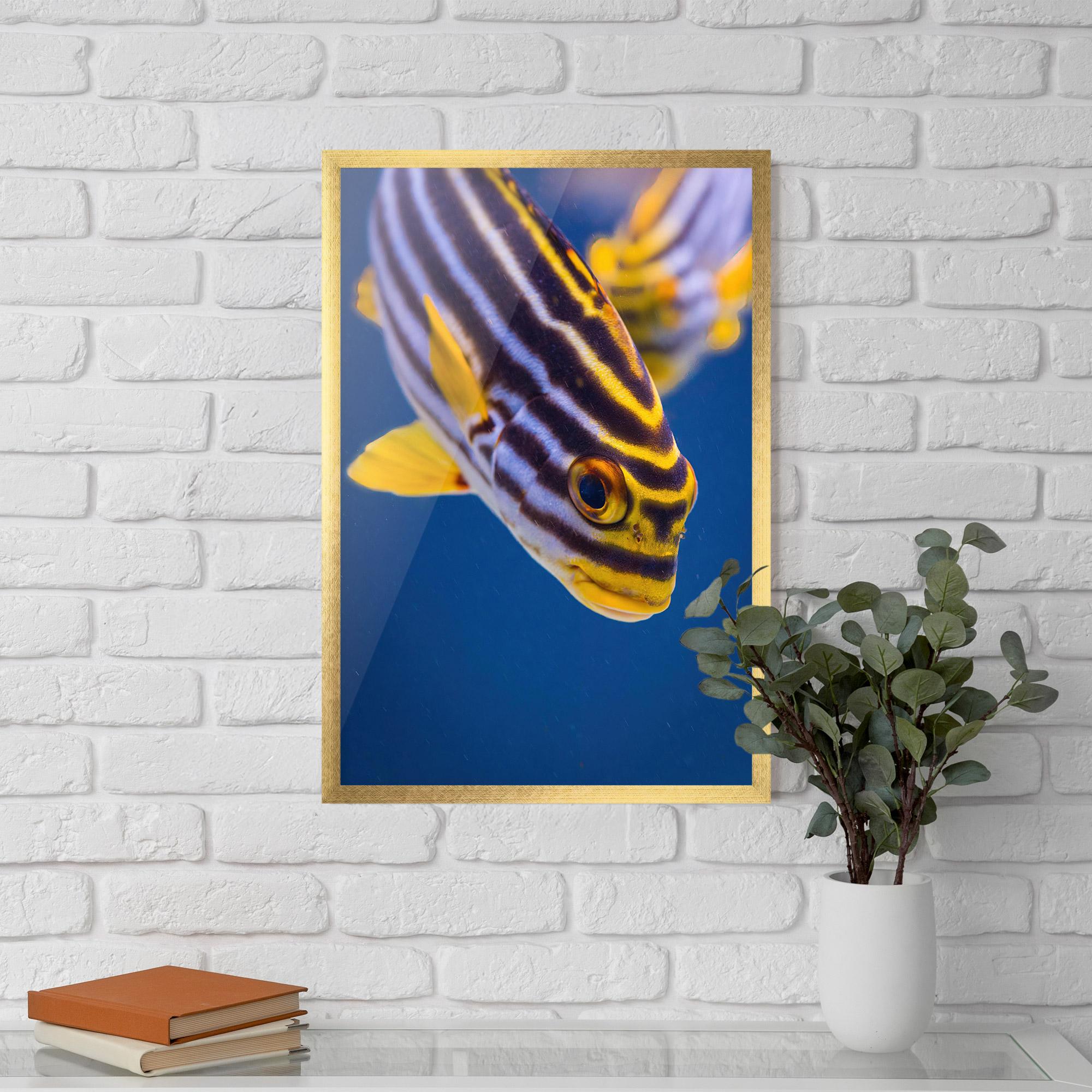 Gerahmte Poster Purple Yellow Fish mockup 5
