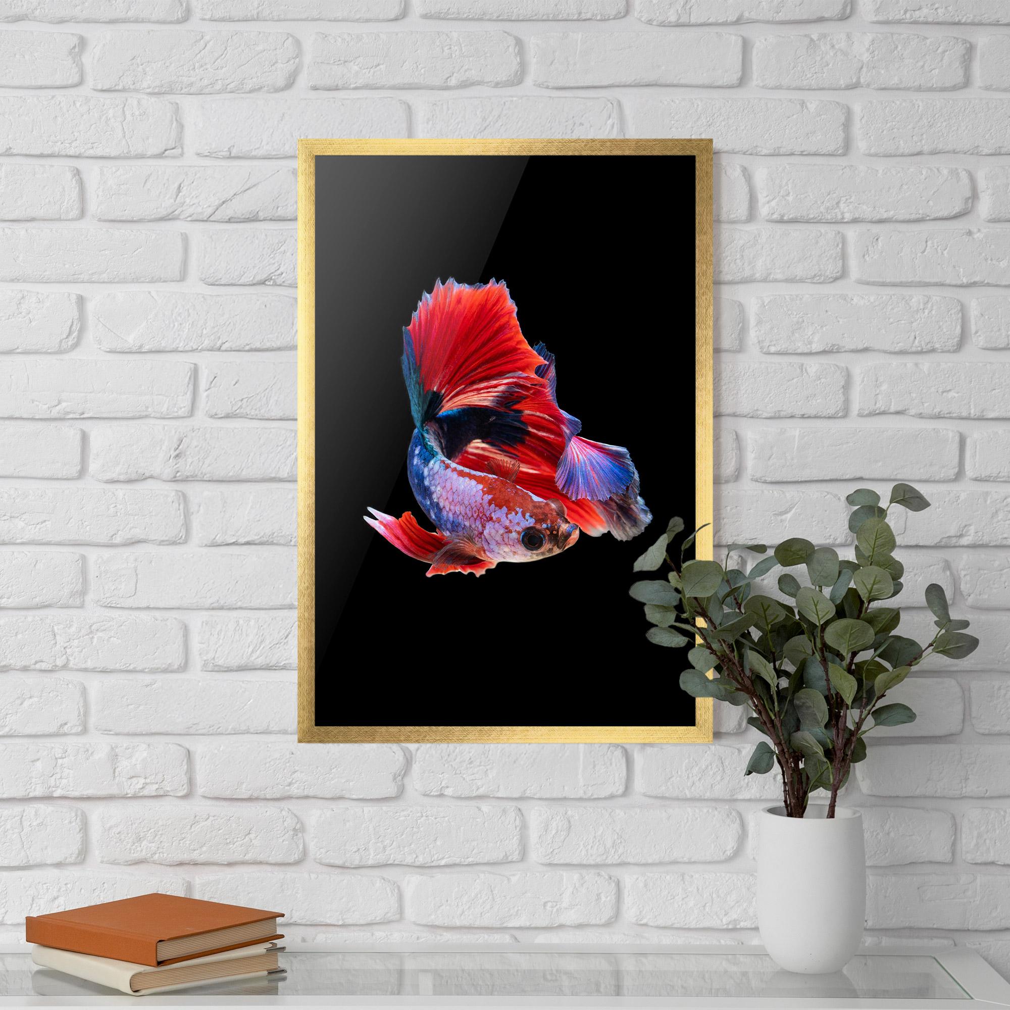 Gerahmte Poster Red Black Betta mockup 5