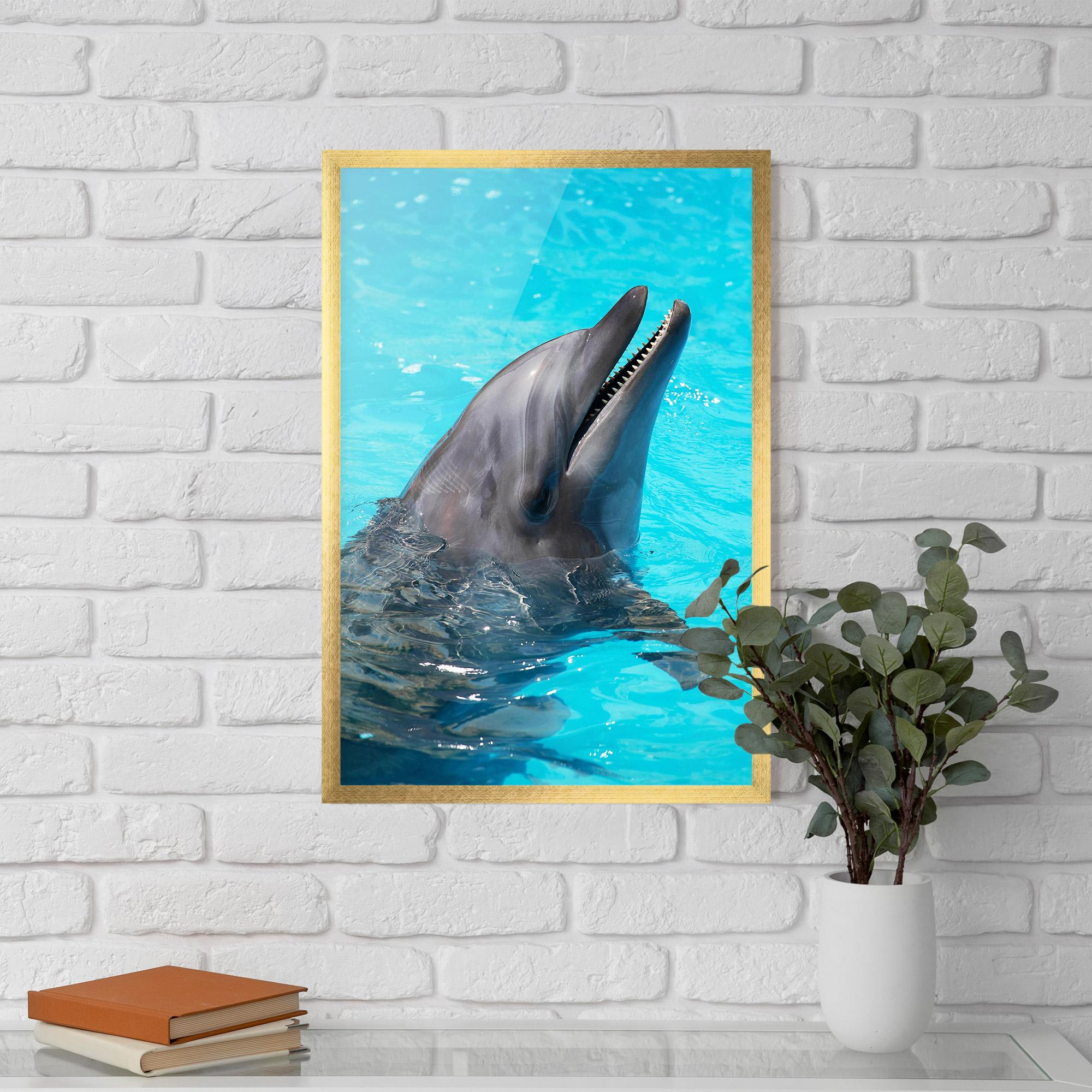 Gerahmte Poster Trained Dolphin mockup 5