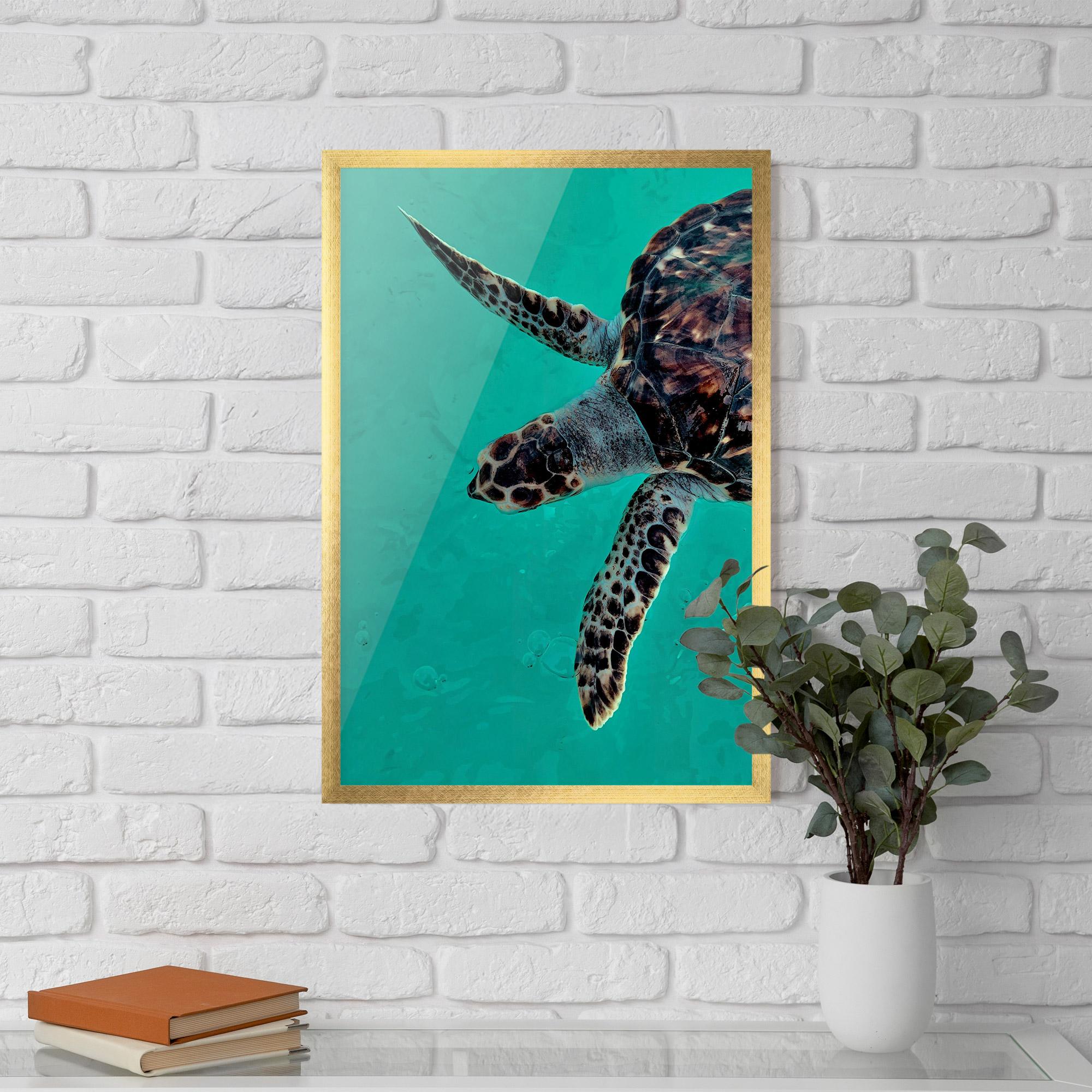 Gerahmte Poster Turtle Sweeming mockup 5