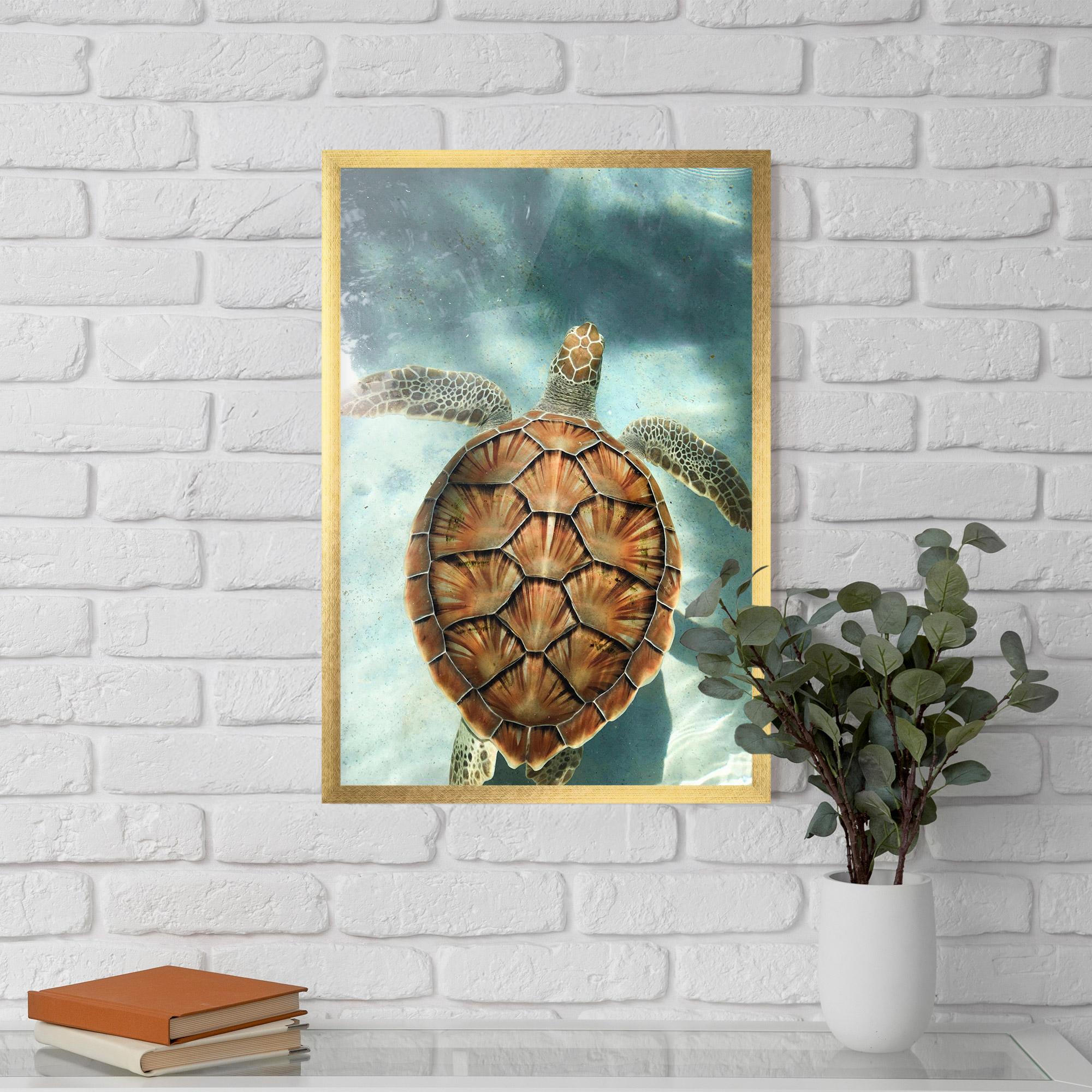 Gerahmte Poster Water Tortoise mockup 5