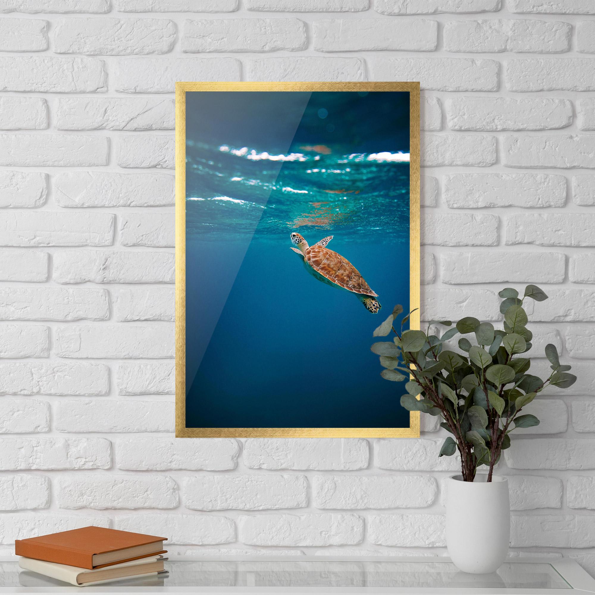 Gerahmte Poster Water Turtle mockup 5