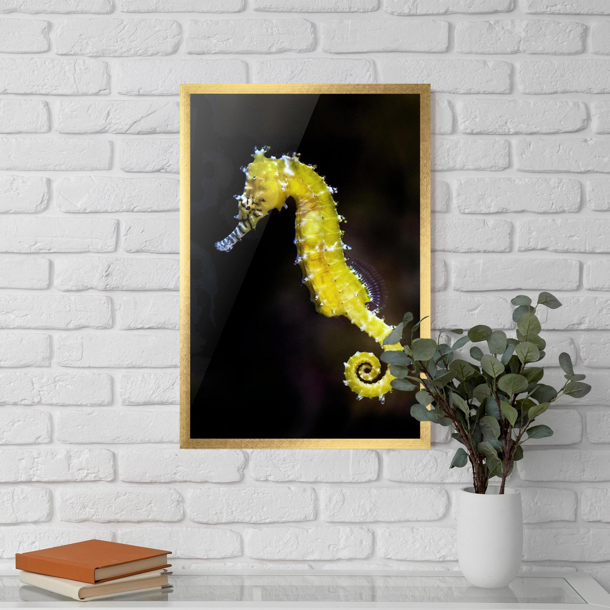 Gerahmte Poster Yellow Seahorse mockup 5