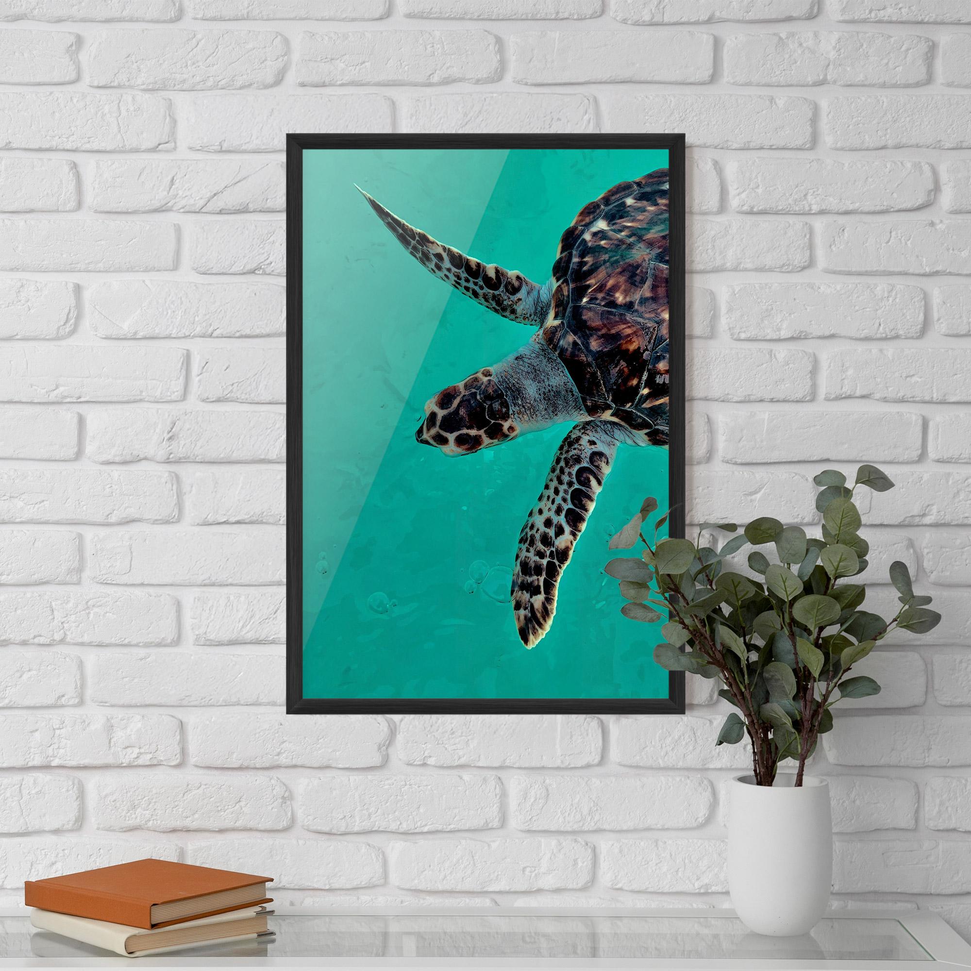 Gerahmte Poster Turtle Sweeming mockup 5