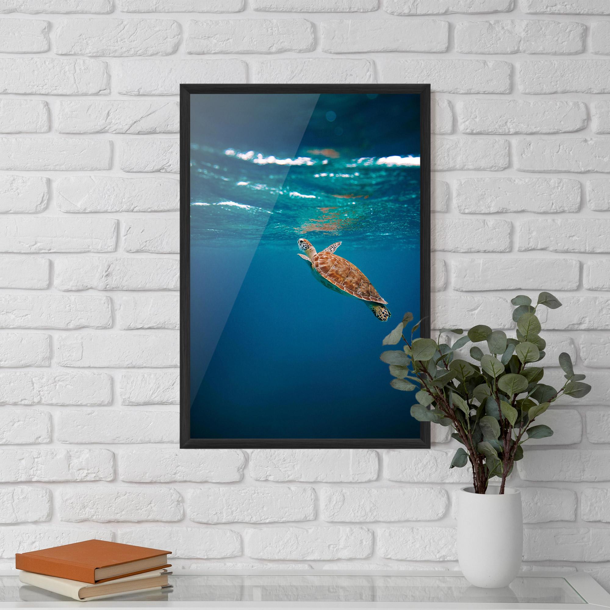 Gerahmte Poster Water Turtle mockup 5
