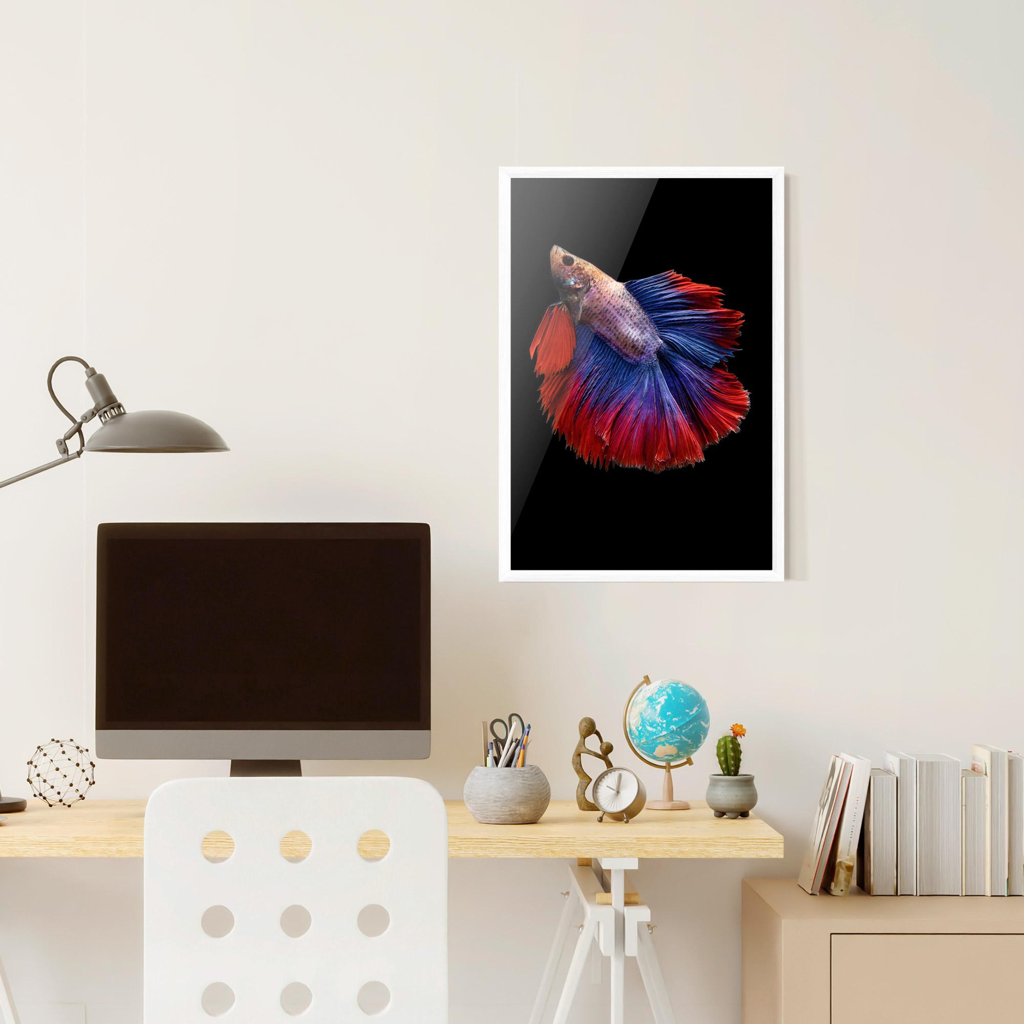 Gerahmte Poster Red Blue Betta mockup 6