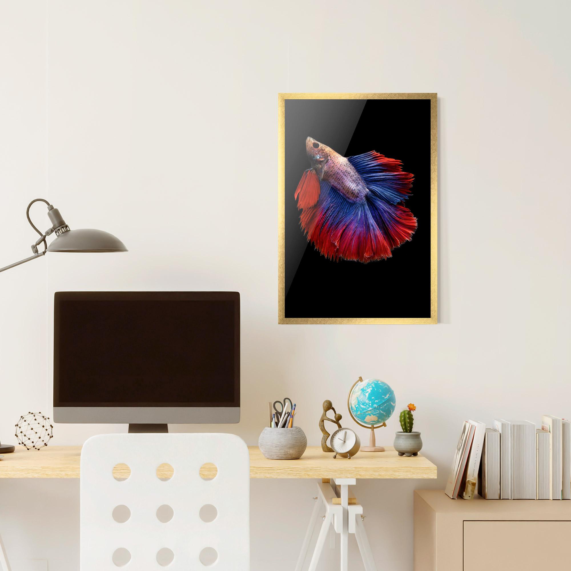 Gerahmte Poster Red Blue Betta mockup 6