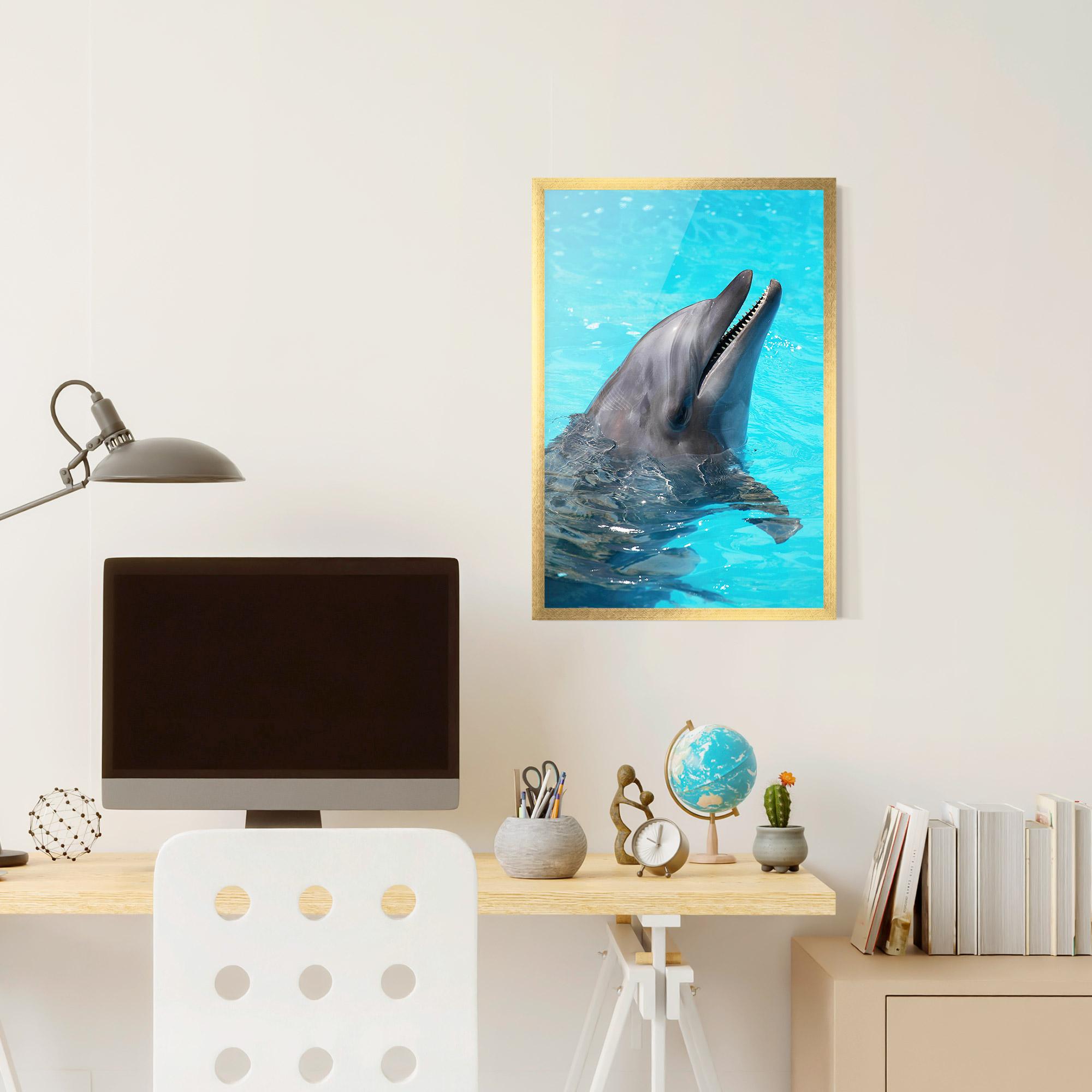 Gerahmte Poster Trained Dolphin mockup 6