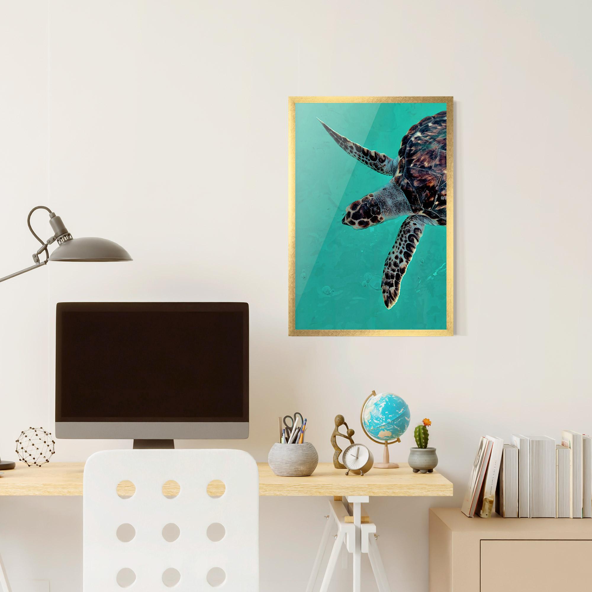 Gerahmte Poster Turtle Sweeming mockup 6