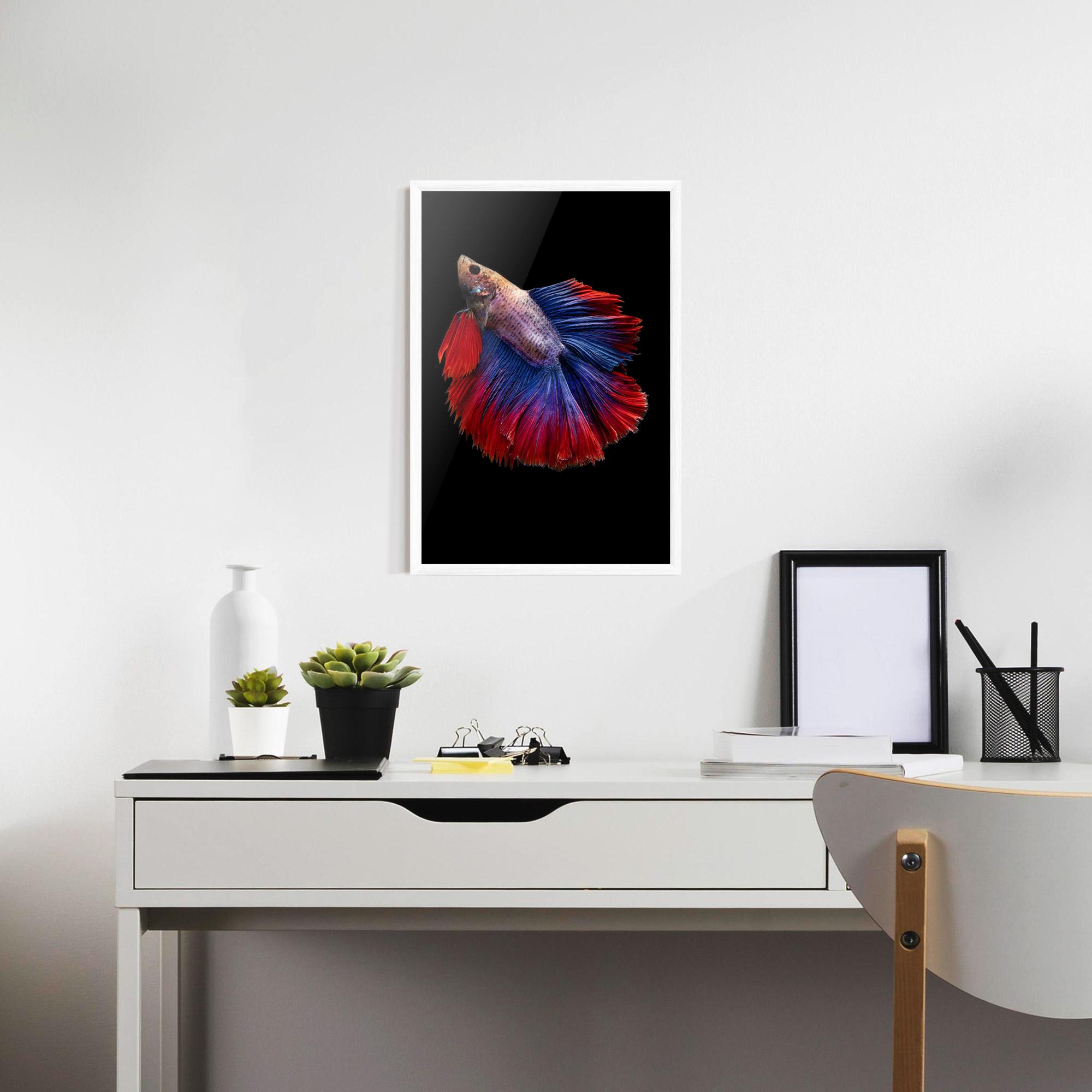 Gerahmte Poster Red Blue Betta mockup 7