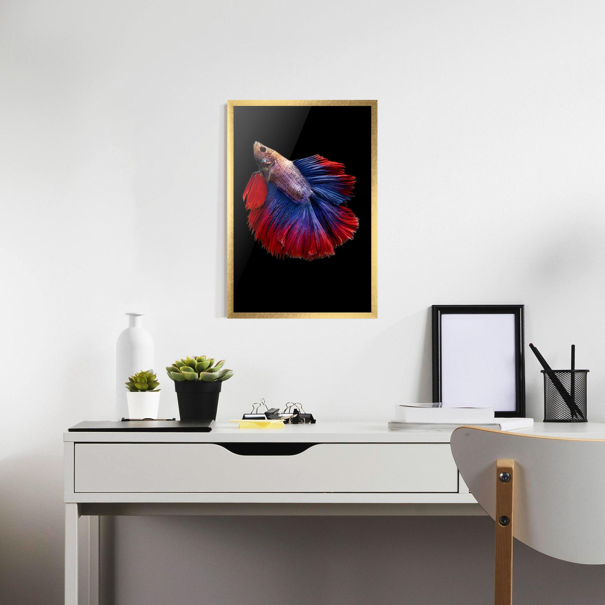 Gerahmte Poster Red Blue Betta mockup 7