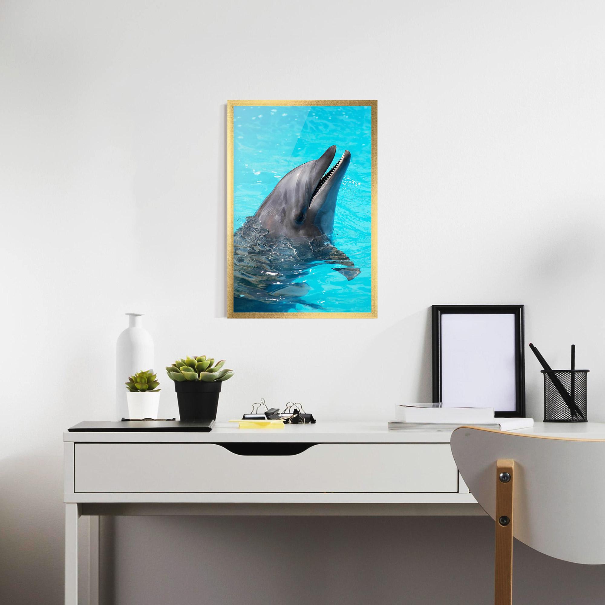 Gerahmte Poster Trained Dolphin mockup 7