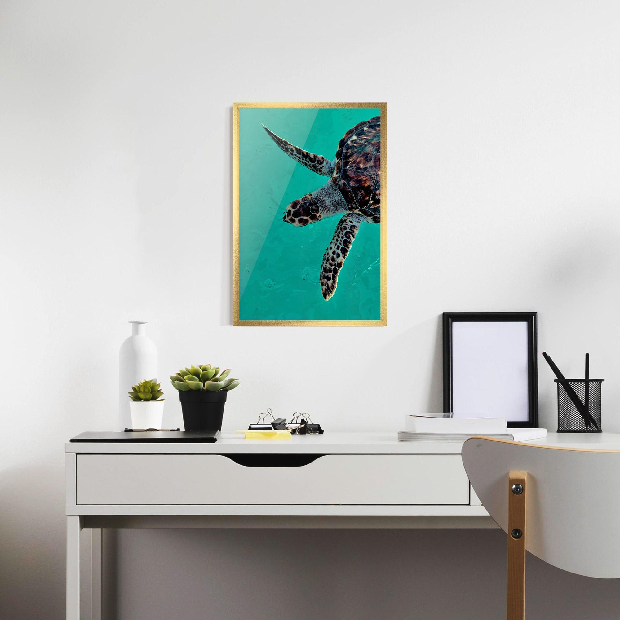 Gerahmte Poster Turtle Sweeming mockup 7