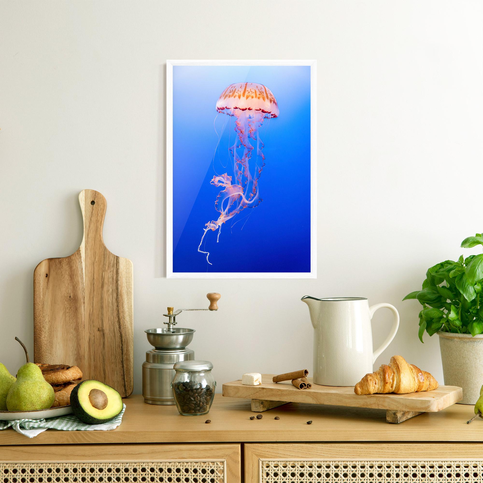 Gerahmte Poster Pretty White Jellyfish mockup 8