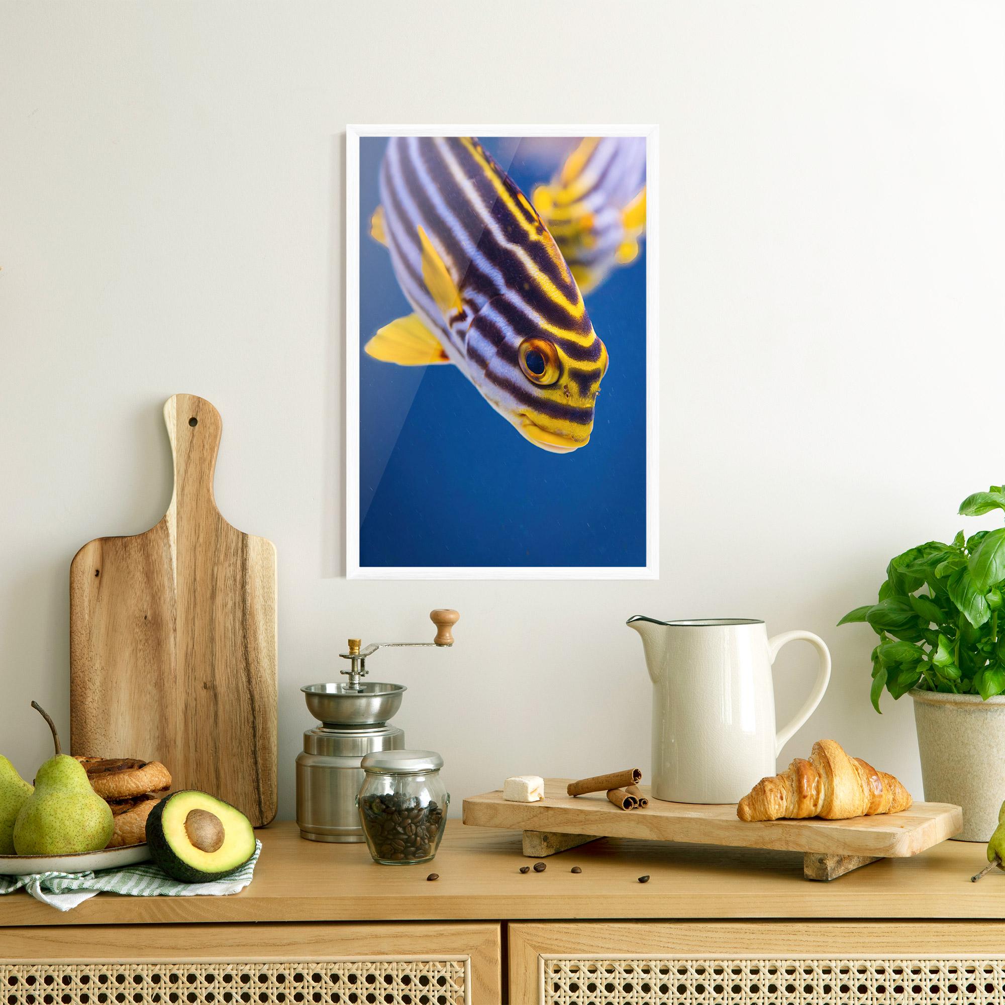 Gerahmte Poster Purple Yellow Fish mockup 8
