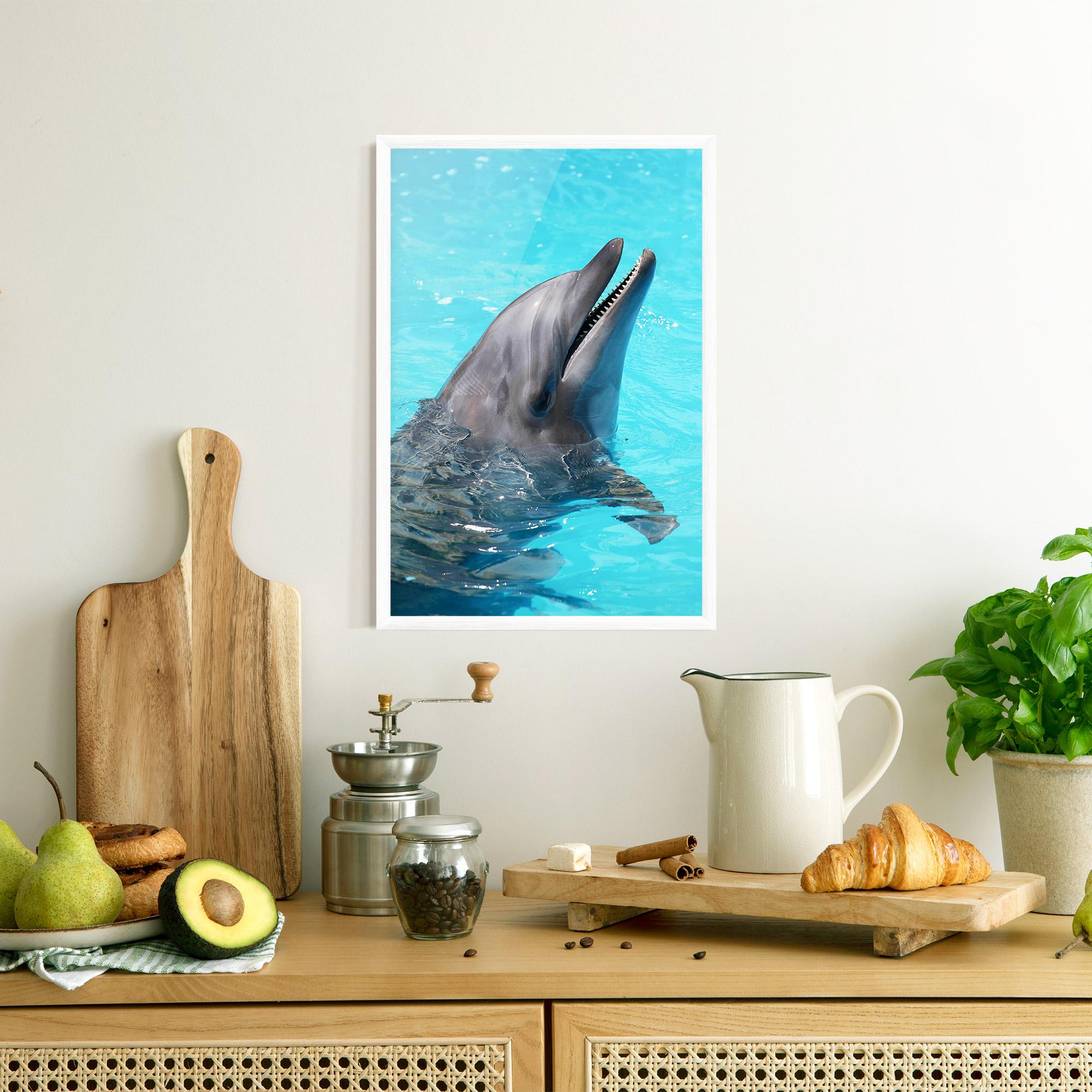 Gerahmte Poster Trained Dolphin mockup 8