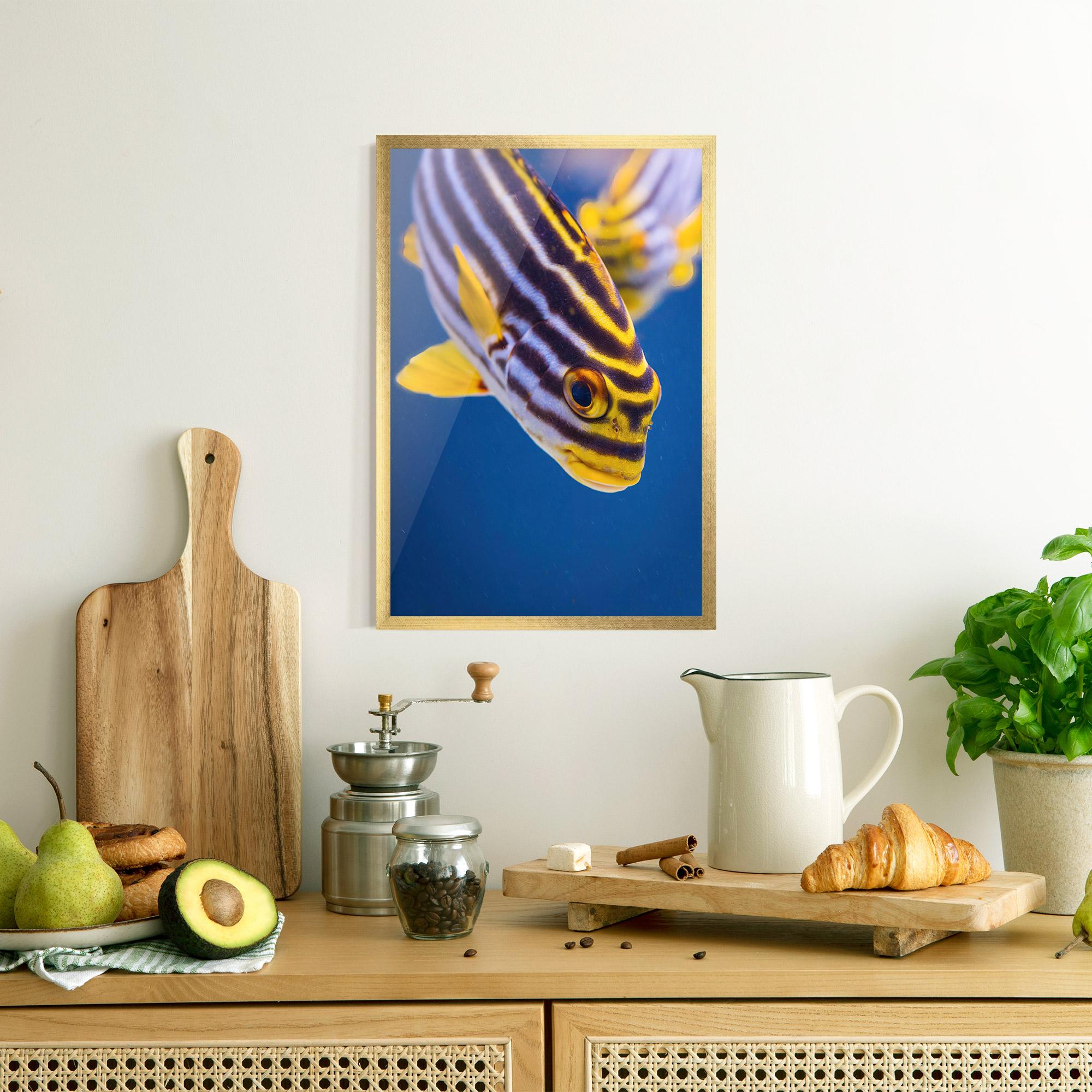 Gerahmte Poster Purple Yellow Fish mockup 8
