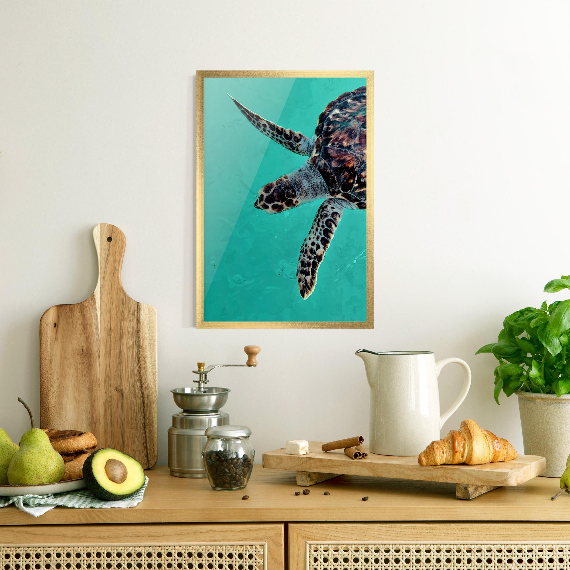 Gerahmte Poster Turtle Sweeming mockup 8