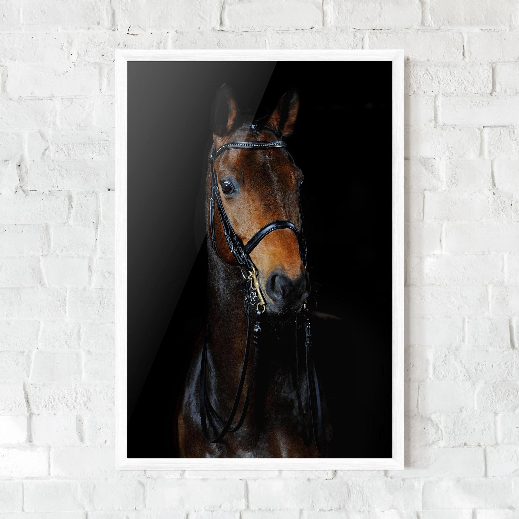 Gerahmte Poster Brown Horse On Black mockup 0