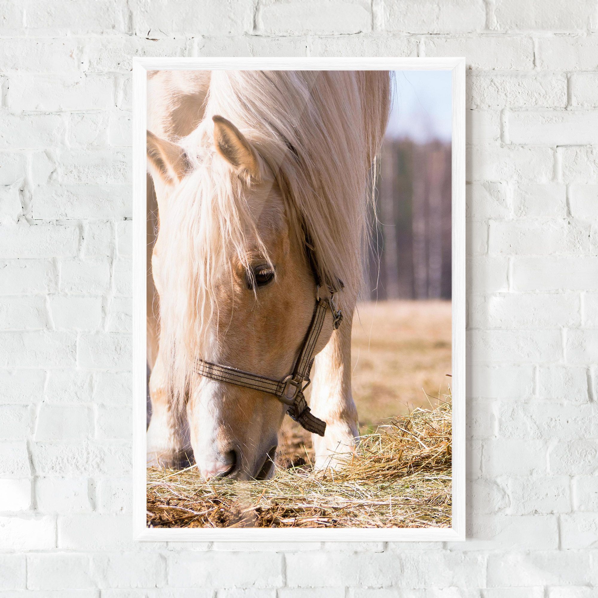 Cream Horse Eating mockup 0