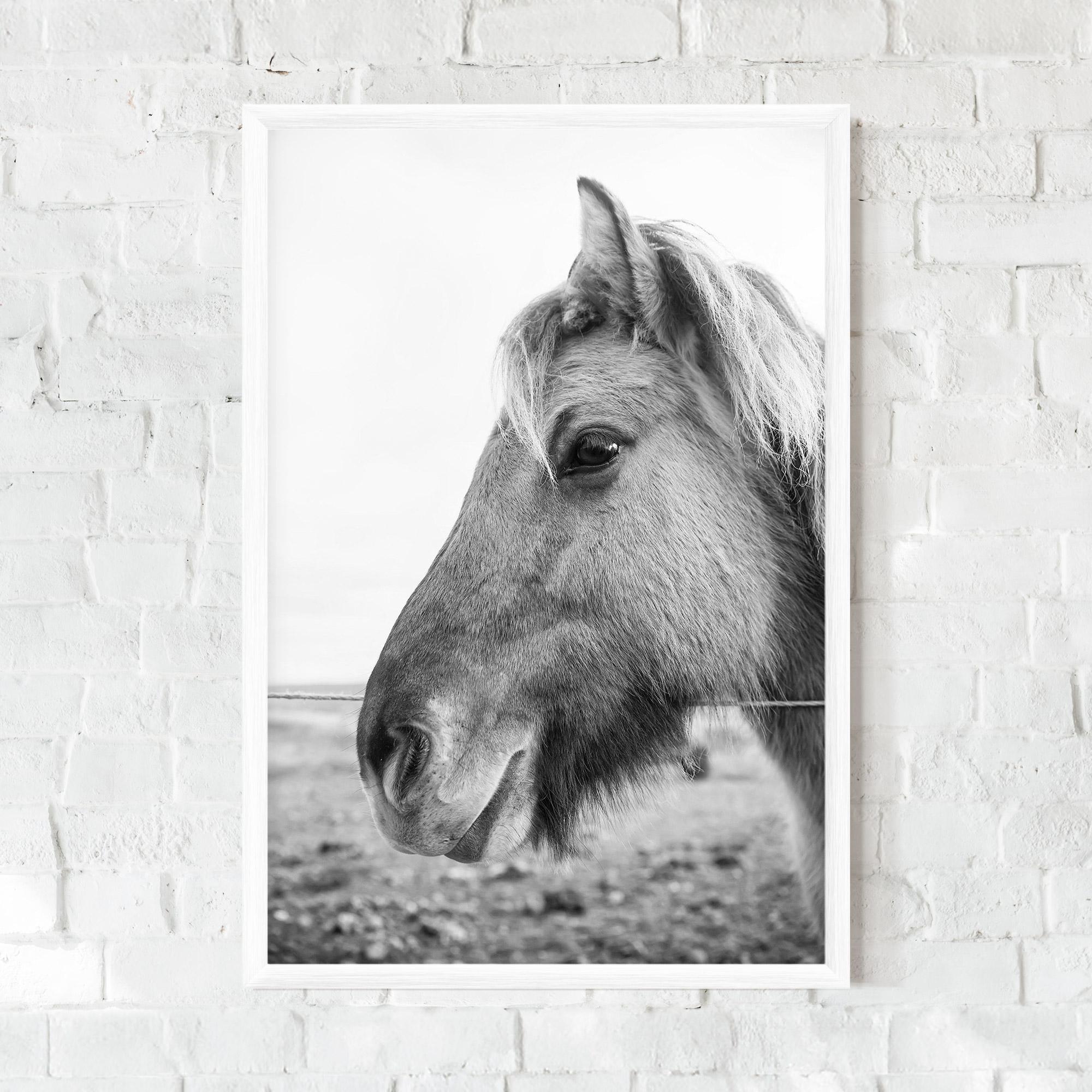Gerahmte Poster Gray Horse Head mockup 0