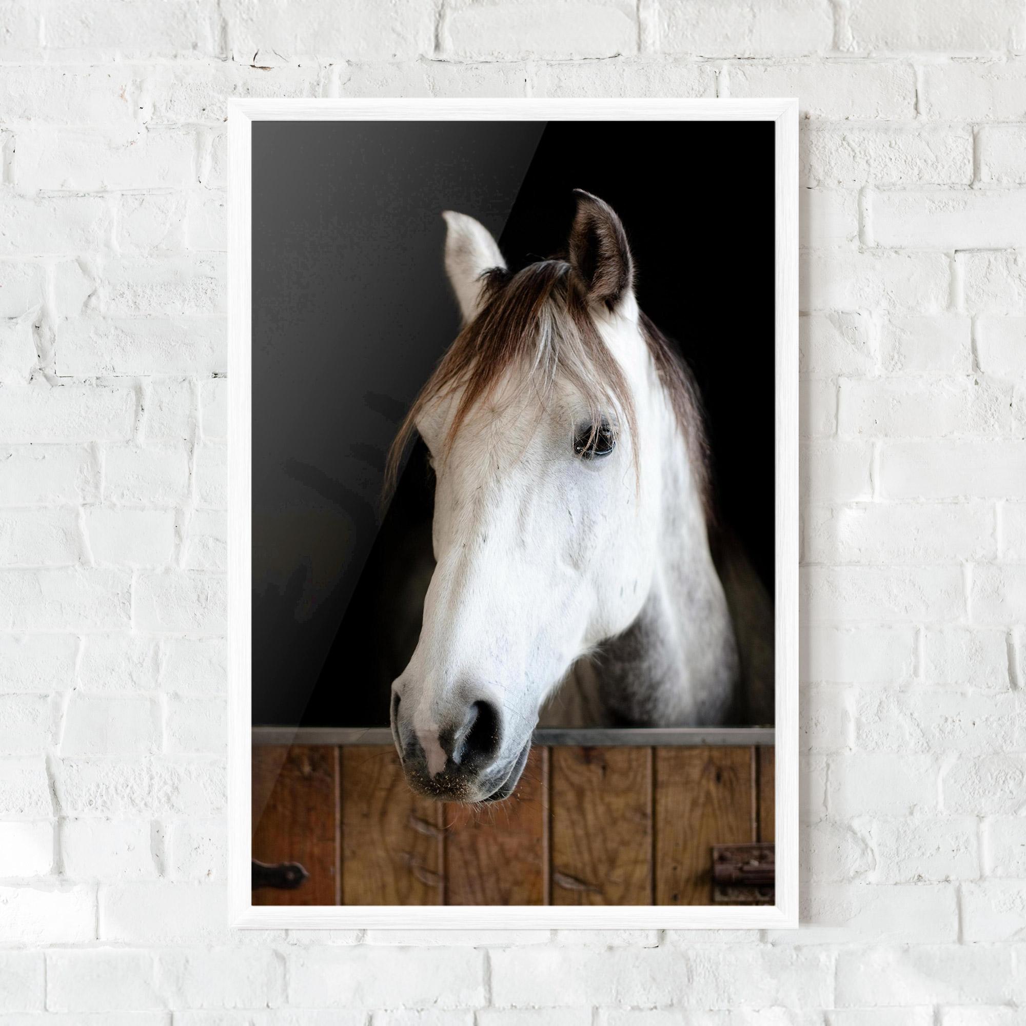 Gerahmte Poster Grey Horse Head mockup 0