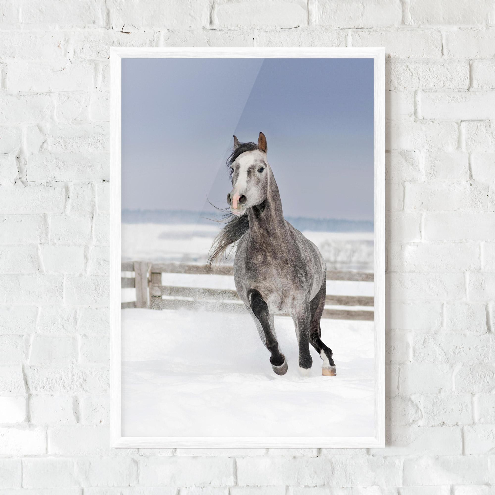 Gerahmte Poster Horse Running Free mockup 0