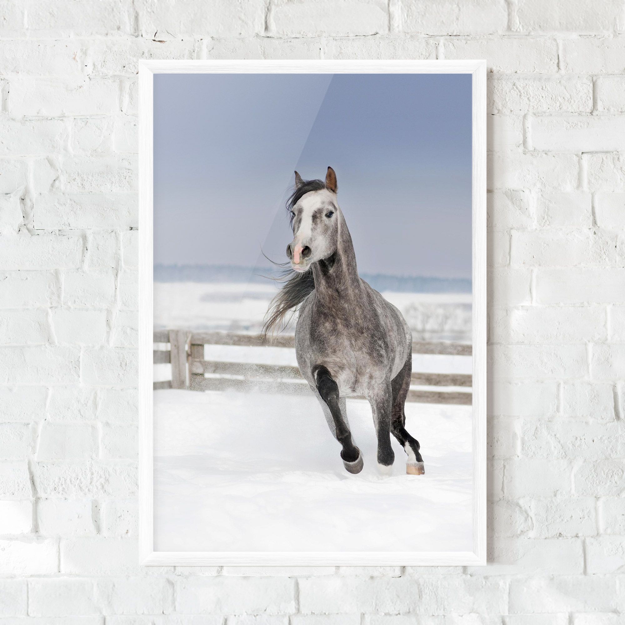 Horse Running Free mockup 0