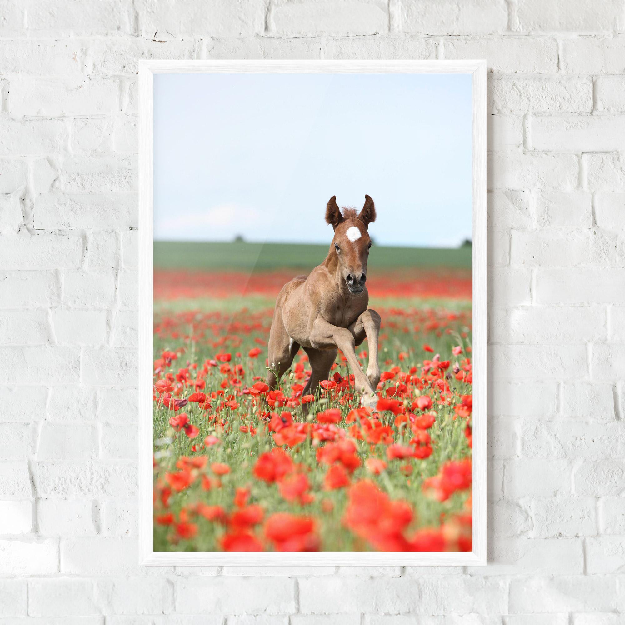 Gerahmte Poster Red Flowers Horse mockup 0