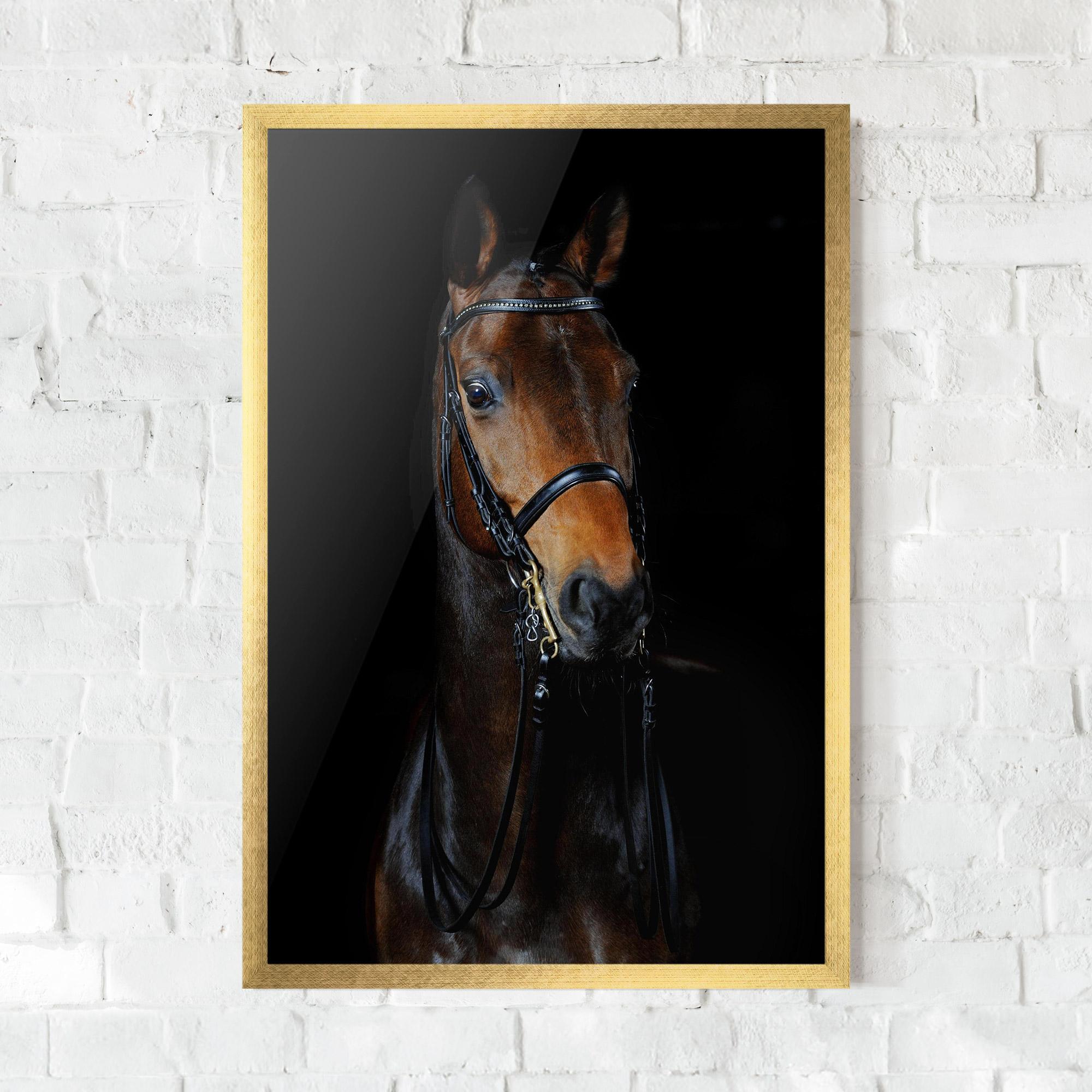 Gerahmte Poster Brown Horse On Black mockup 0