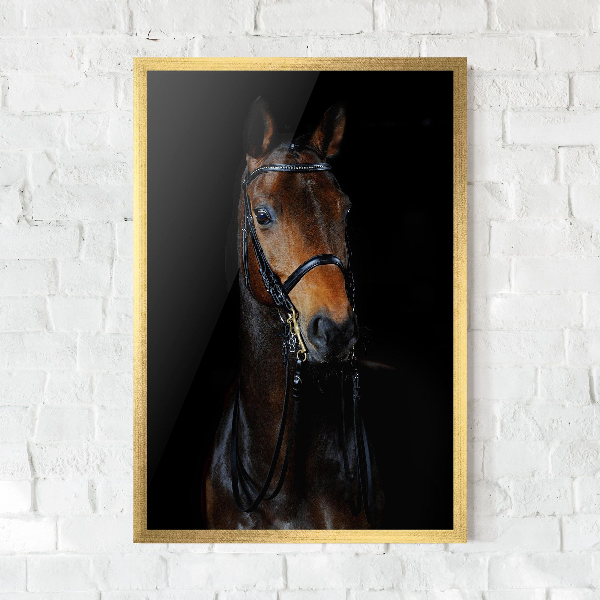 Brown Horse On Black mockup 0
