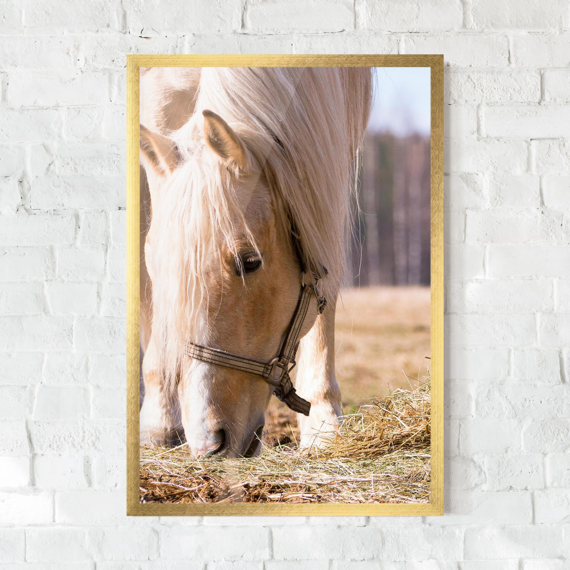 Cream Horse Eating mockup 0