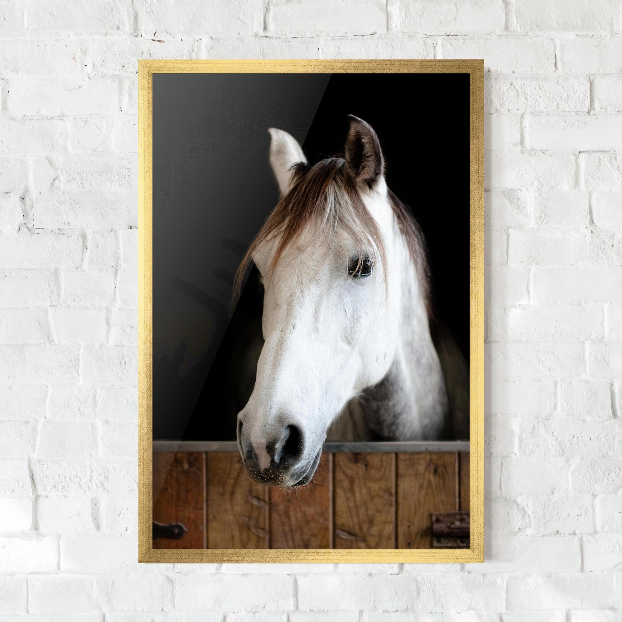 Gerahmte Poster Grey Horse Head mockup 0