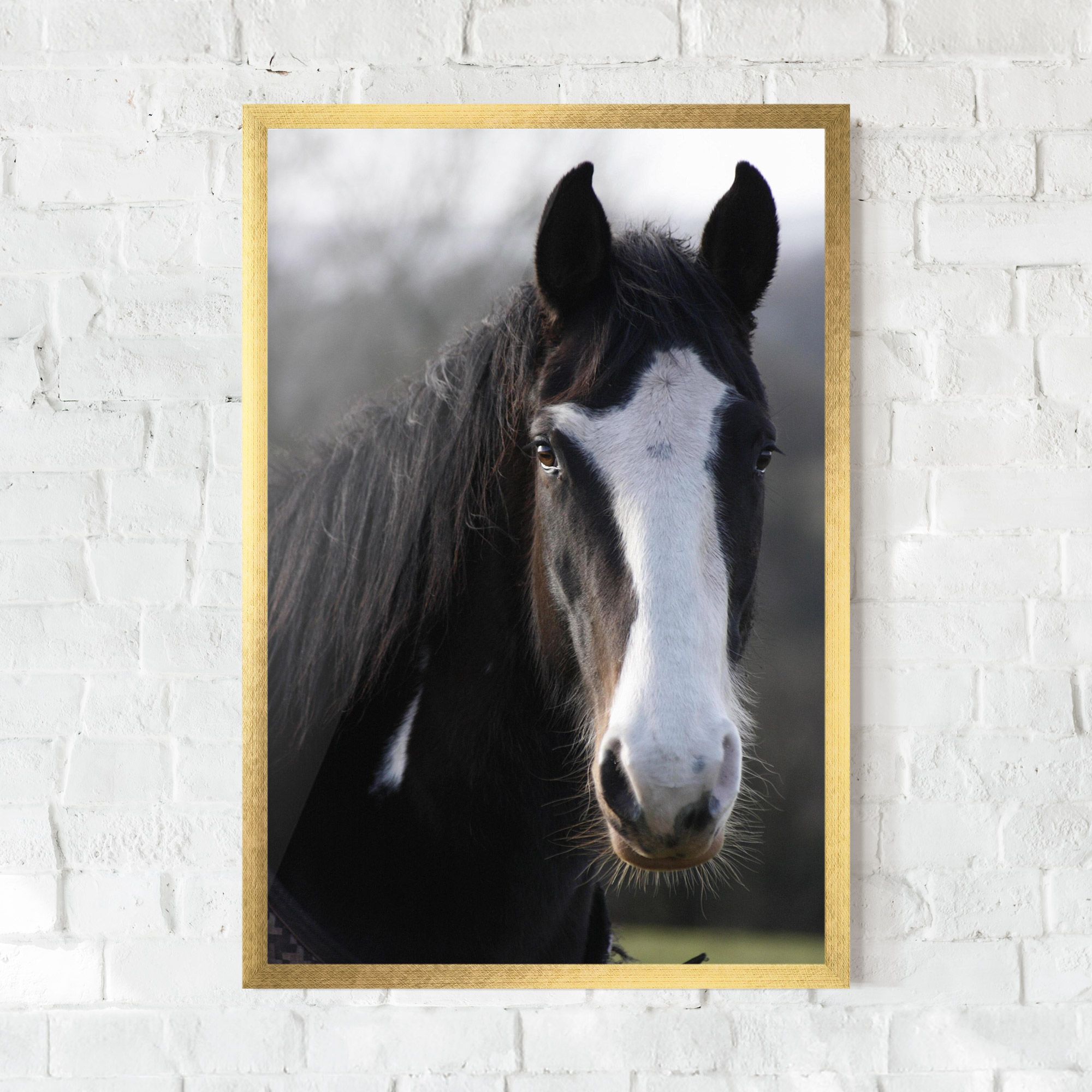 Horse Black Portrait mockup 0