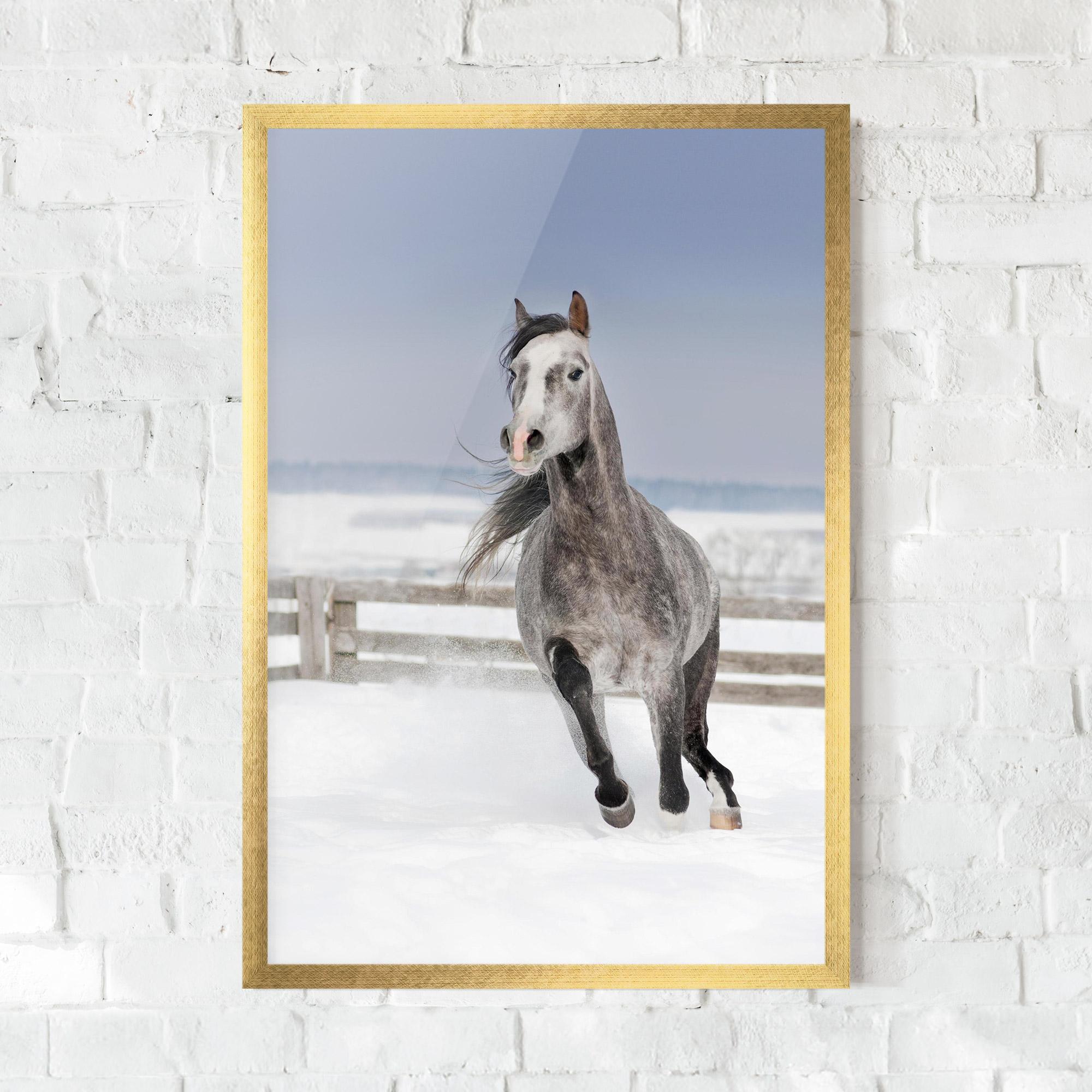 Gerahmte Poster Horse Running Free mockup 0
