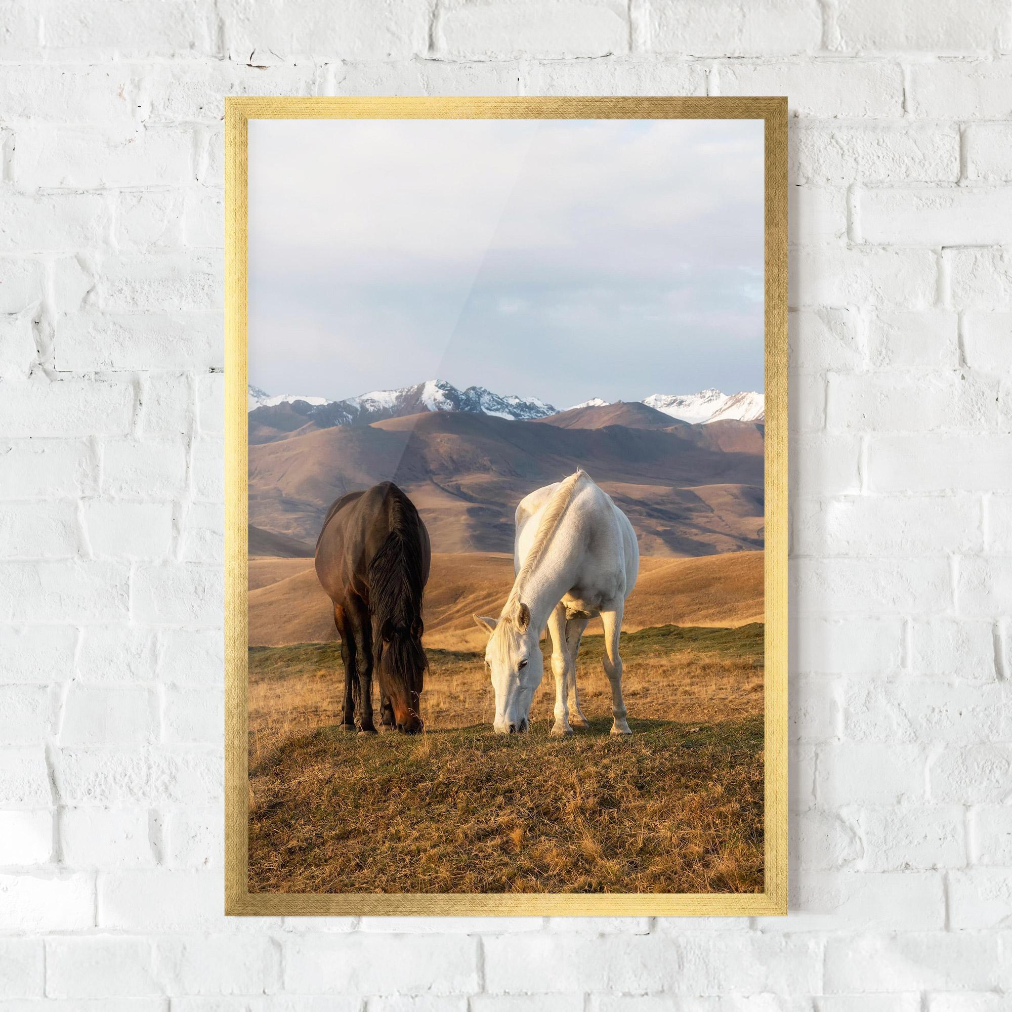 Gerahmte Poster Mountain Horses mockup 0